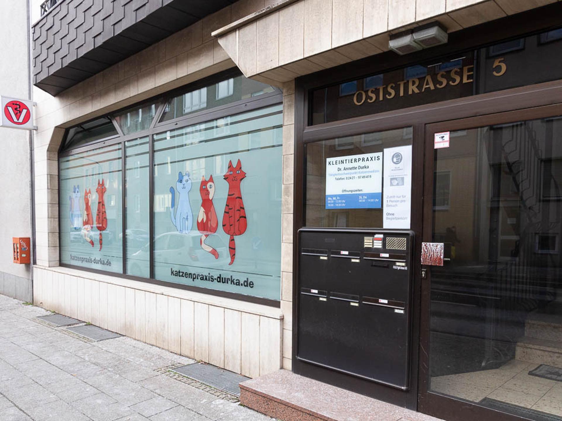 Ansicht 5 von Kleintierpraxis Dr. Durka, Tätigkeitsschwerpunkt Katzenmedizin