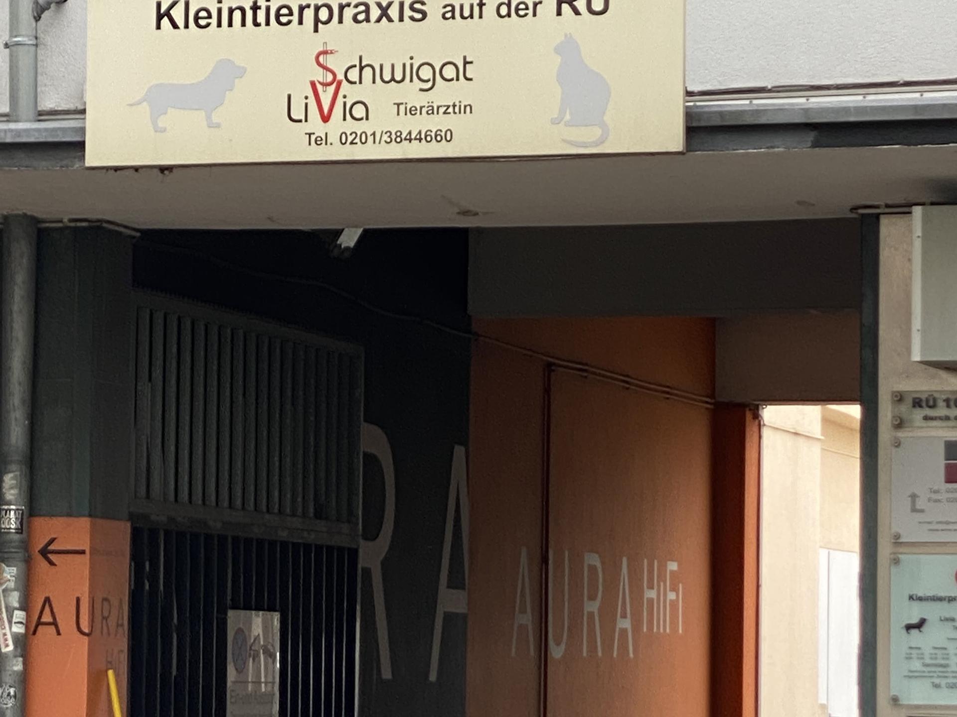 View 1 of Kleintierpraxis auf der RÜ - Tierärztin Livia Schwigat