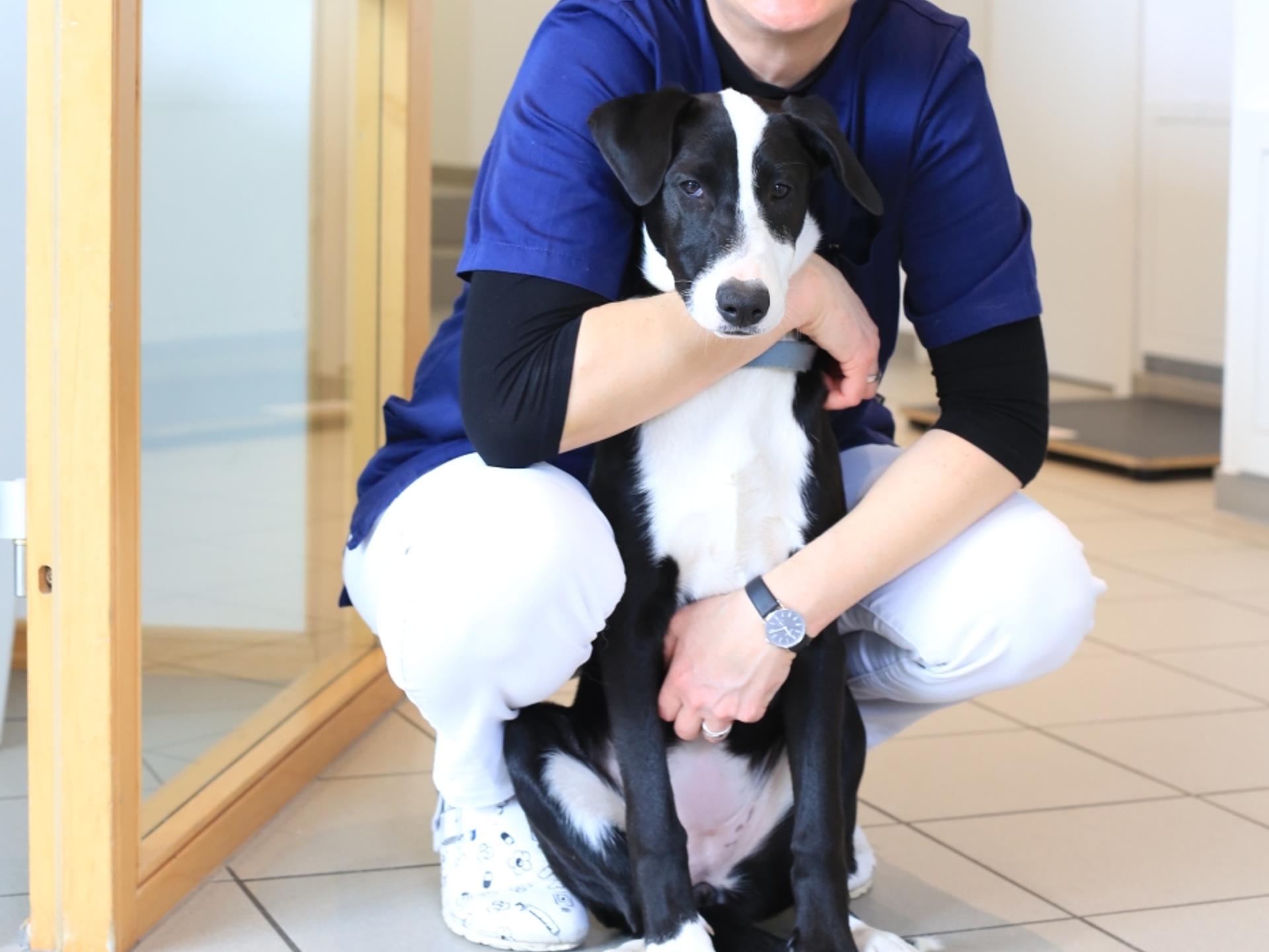 Ansicht 1 von Kleintierpraxis Knittlingen Dr. med. vet. Antje Fischer