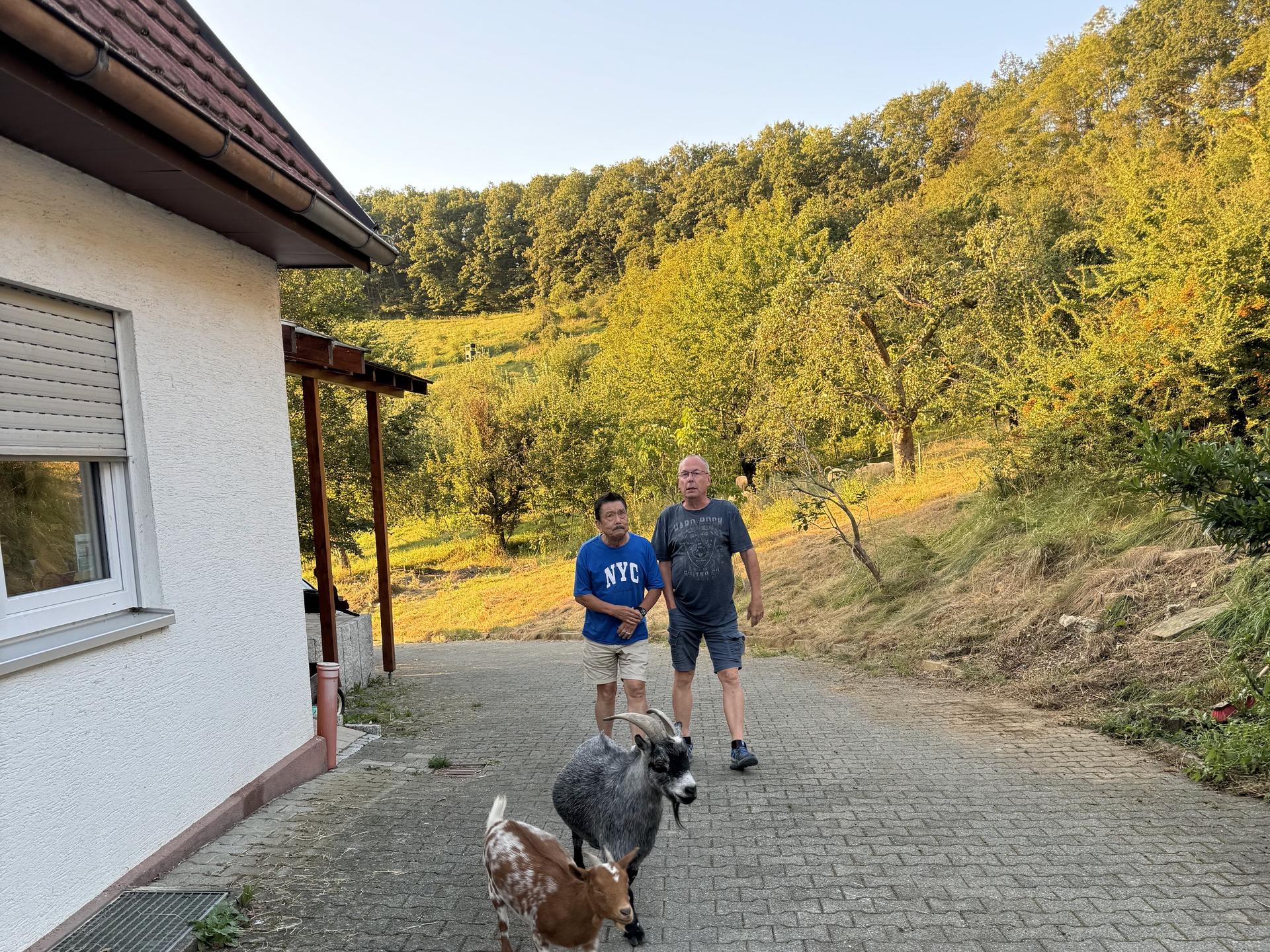 Ansicht 1 von .Tierarztpraxis Dr Simone Schuster