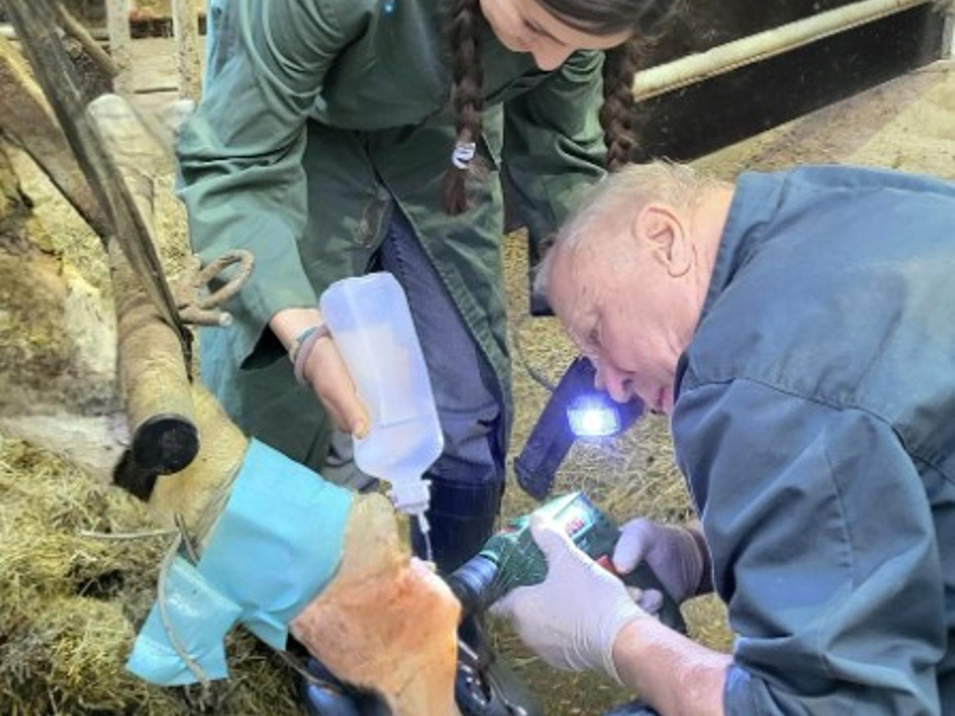 Ansicht 3 von Tierarztpraxis für Groß- & Nutztiere Rainer Matzke