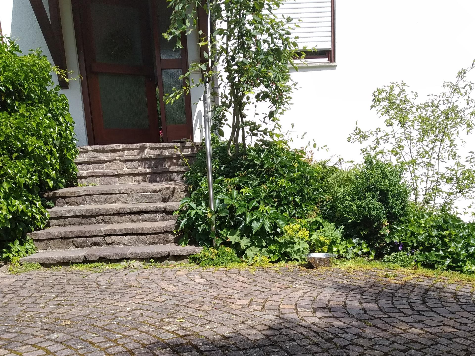 Ansicht 1 von Dr.med.vet. Laura Starker Tierärztin