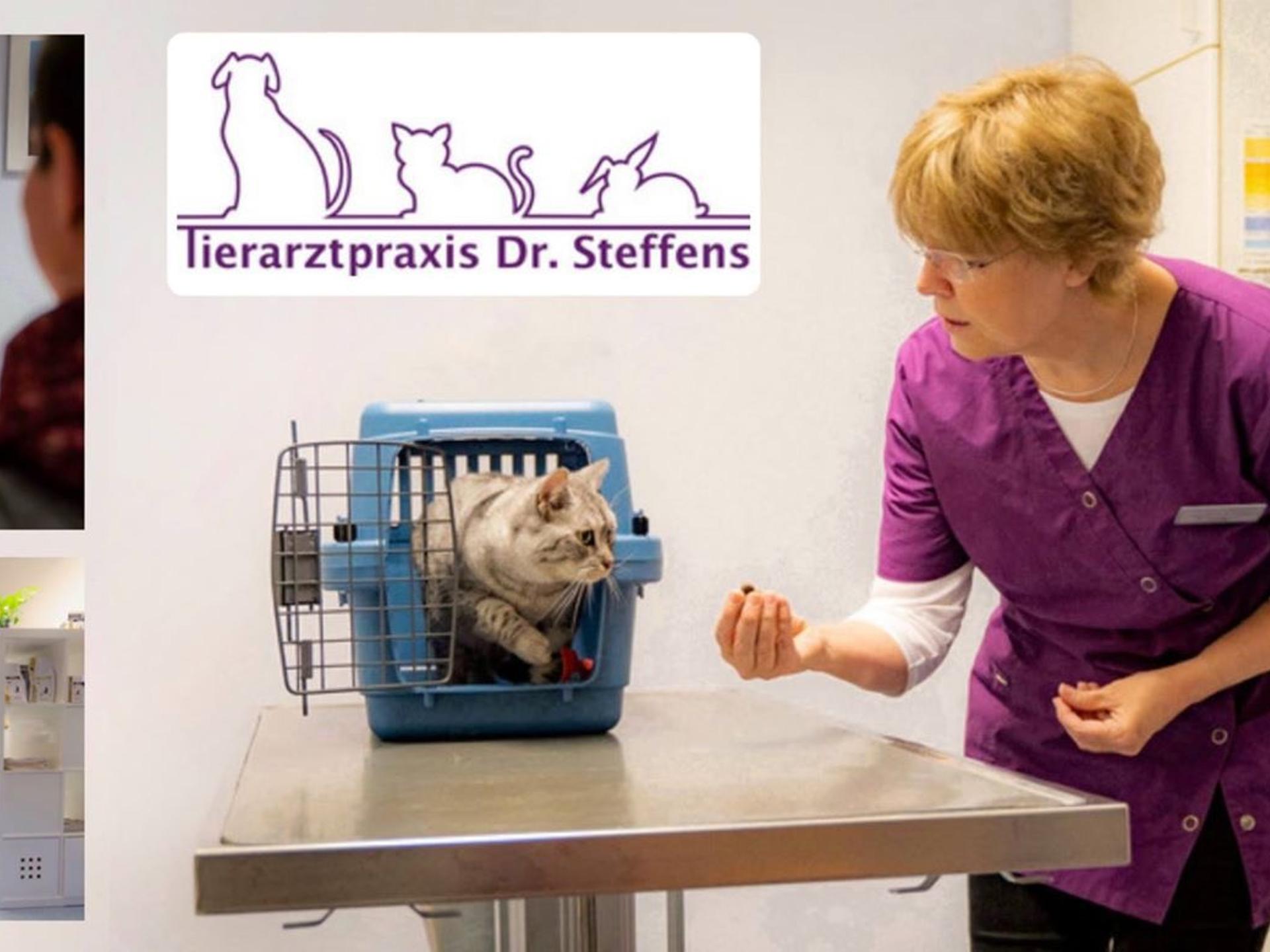 Ansicht 3 von Tierarztpraxis Dr. Steffens