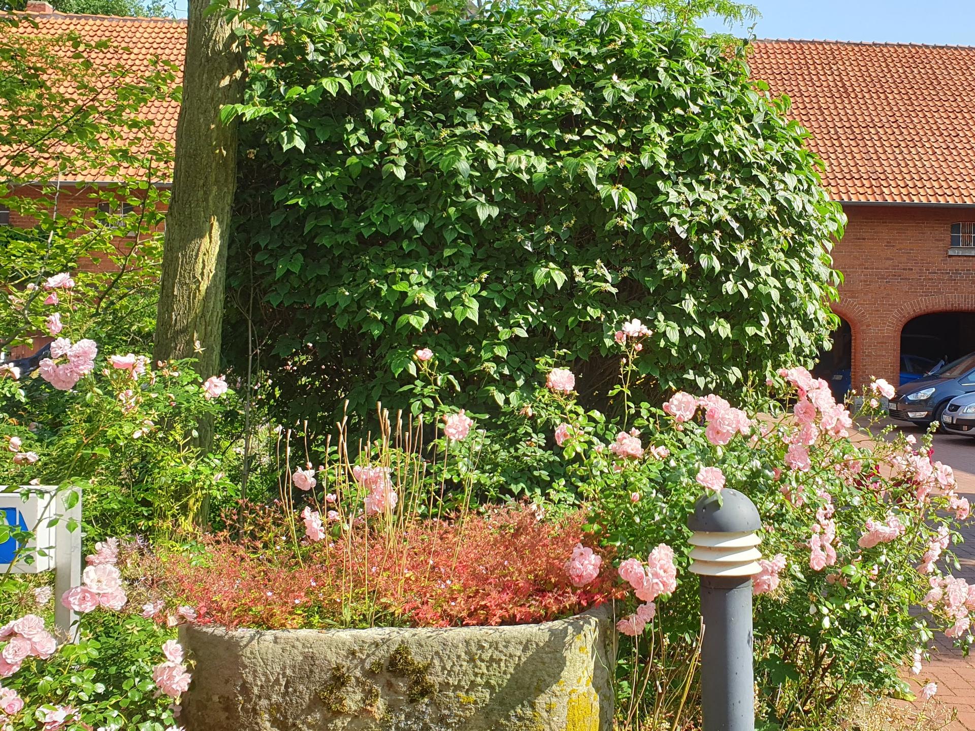 Ansicht 2 von Kleintierpraxis Lüerssen-Hof