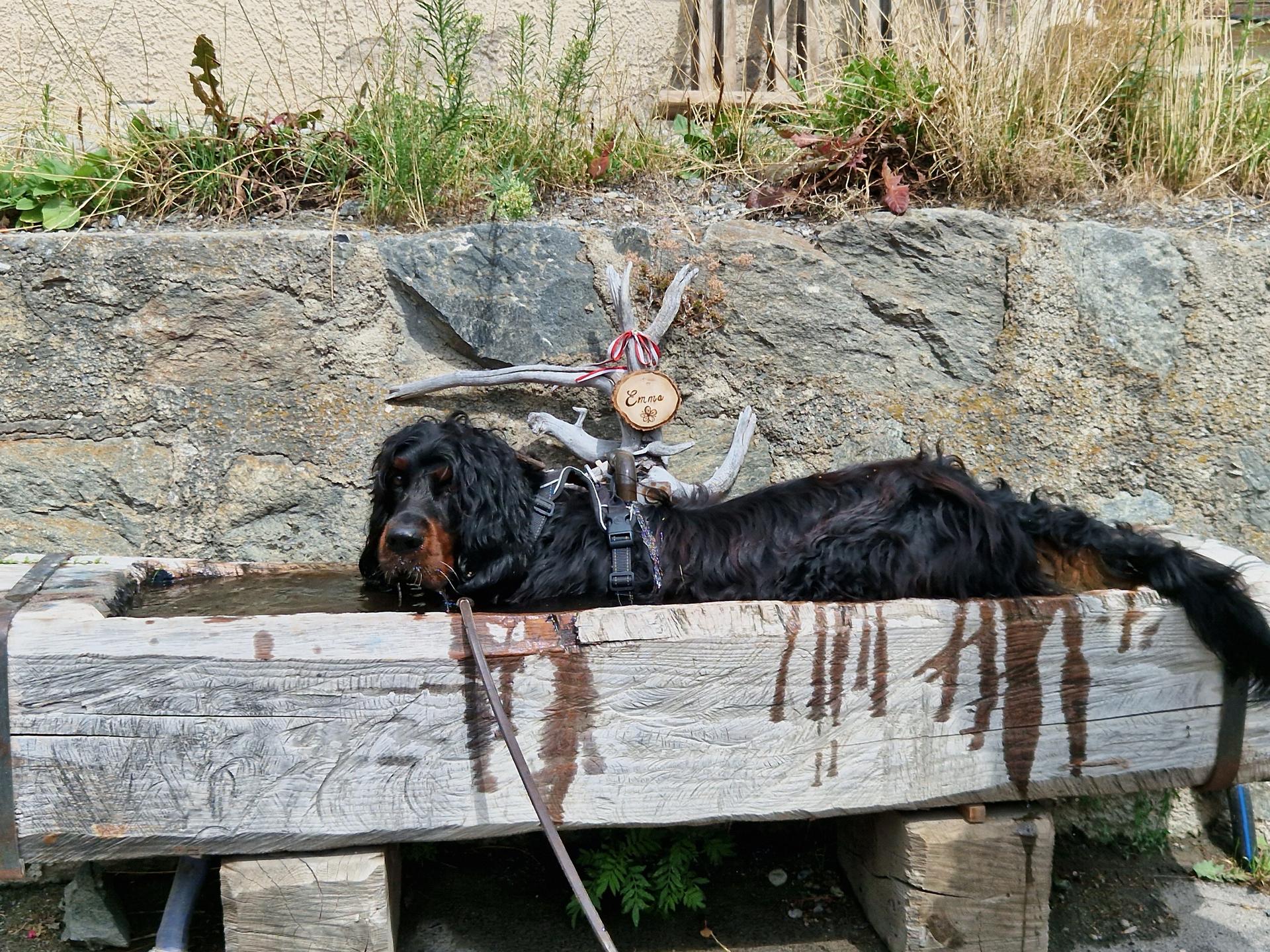 Ansicht 2 von Kerstin Wagner-Klappert Tierärztin