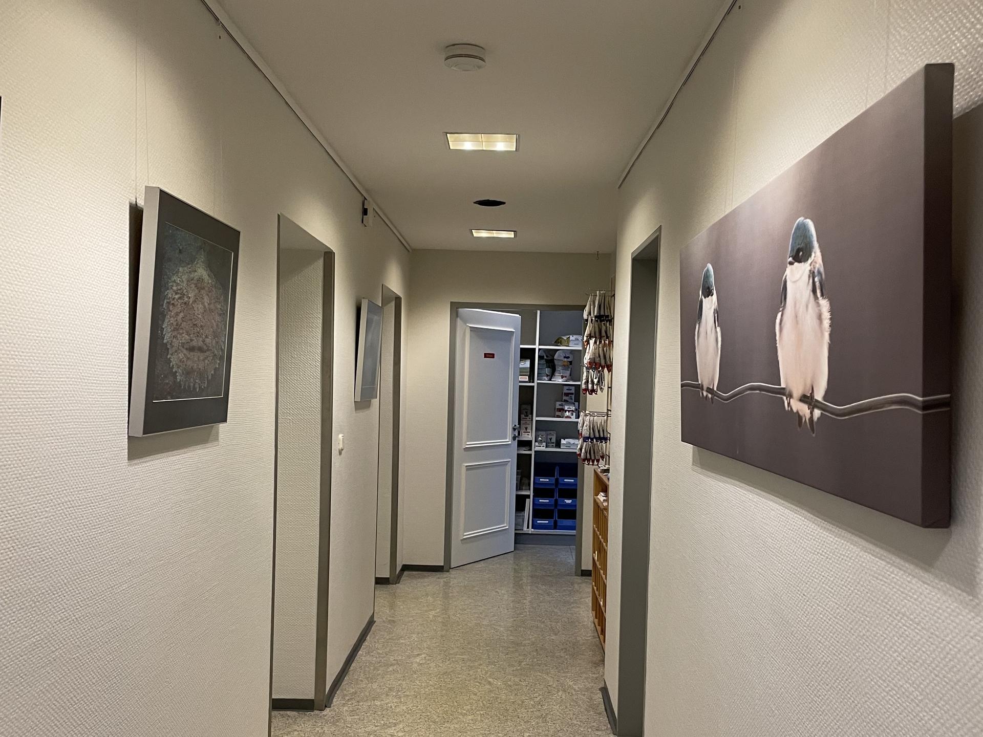 Ansicht 5 von Tierarztpraxis Dr. Kudlorz