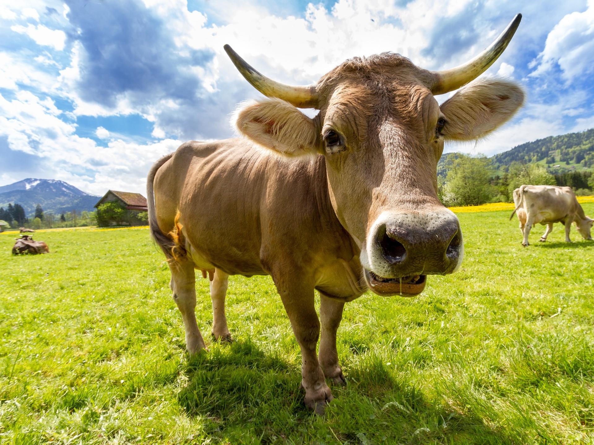 Ansicht 1 von Dr.med.vet. Kerstin Freitag prakt. Tierarzt