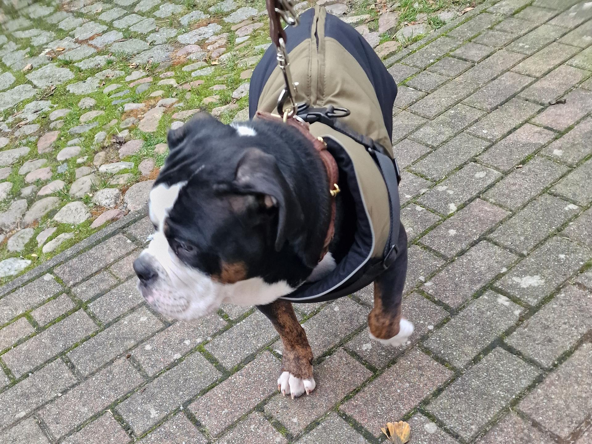 Ansicht 2 von Tierarzt Hendrik Somschor