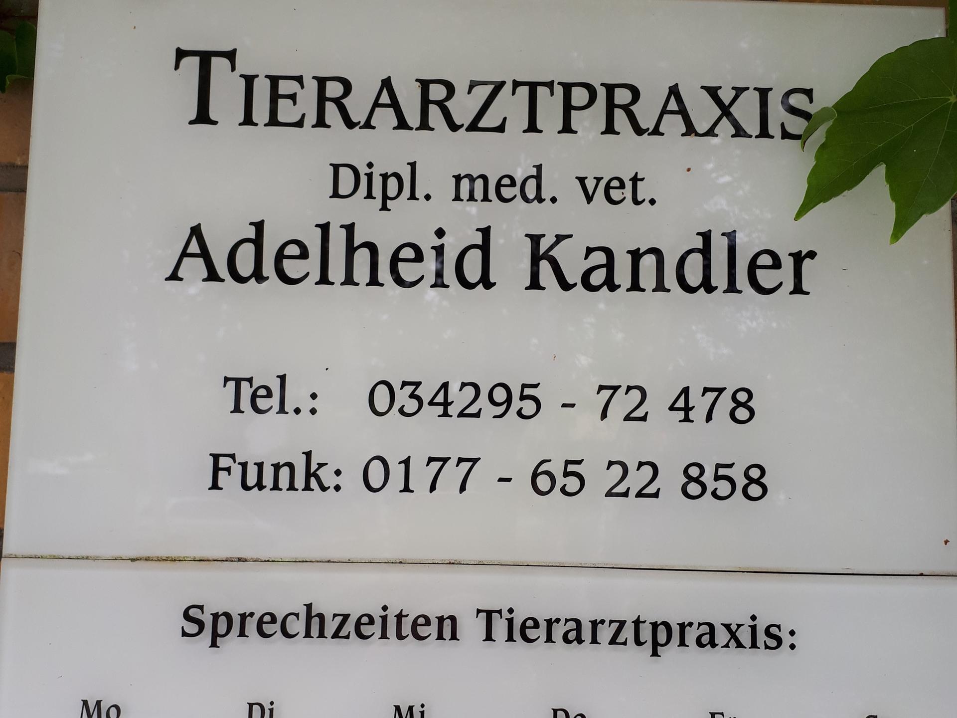 Ansicht 2 von Tierarztpraxis DVM Kandler