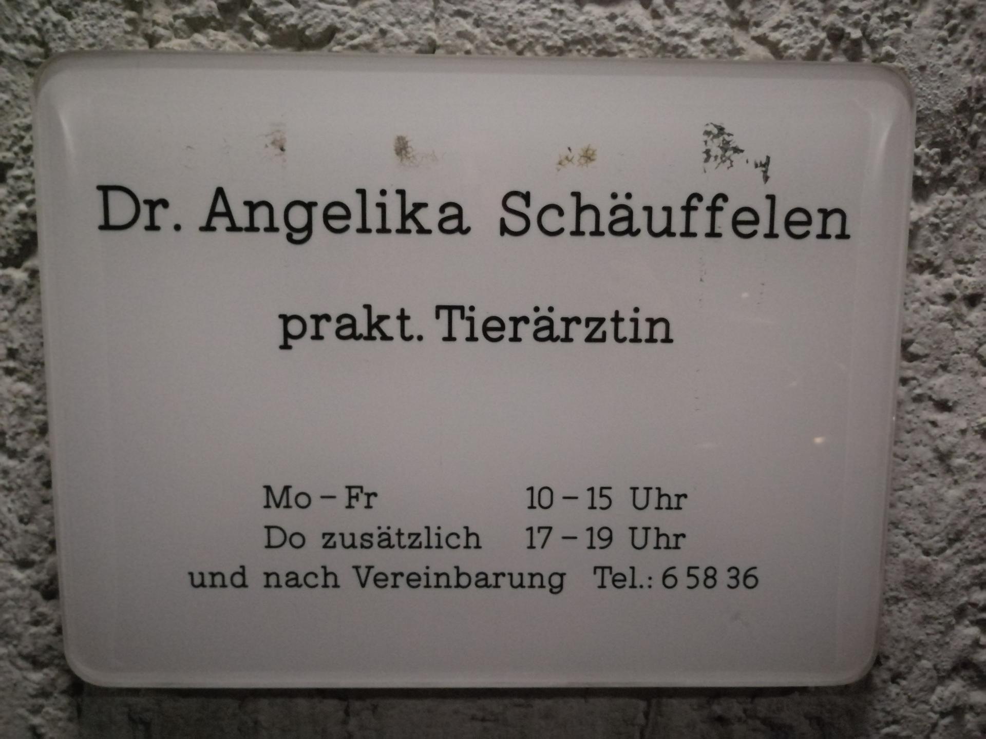 Ansicht 3 von Tierarztpraxis Ulm Dr. Angelika Schäuffelen