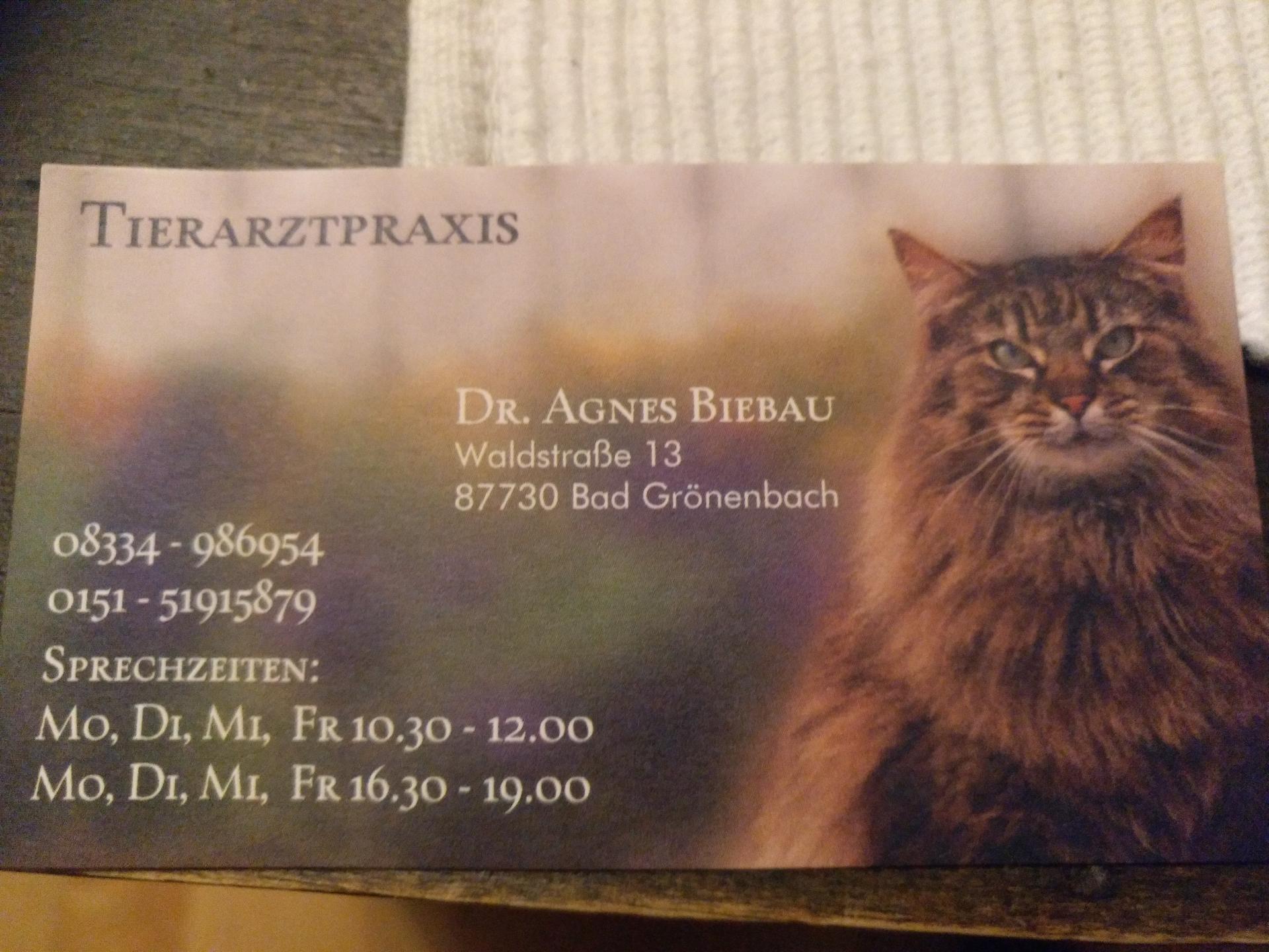 Ansicht 1 von Dr. Biebau Agnes