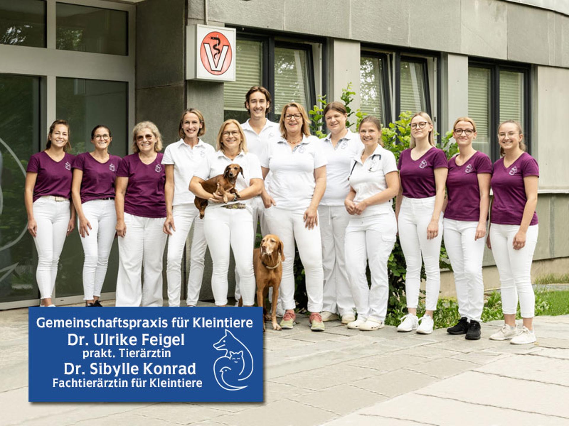 Ansicht 1 von Tierärzte IVC Evidensia GmbH Tierärztezentrum Landshut