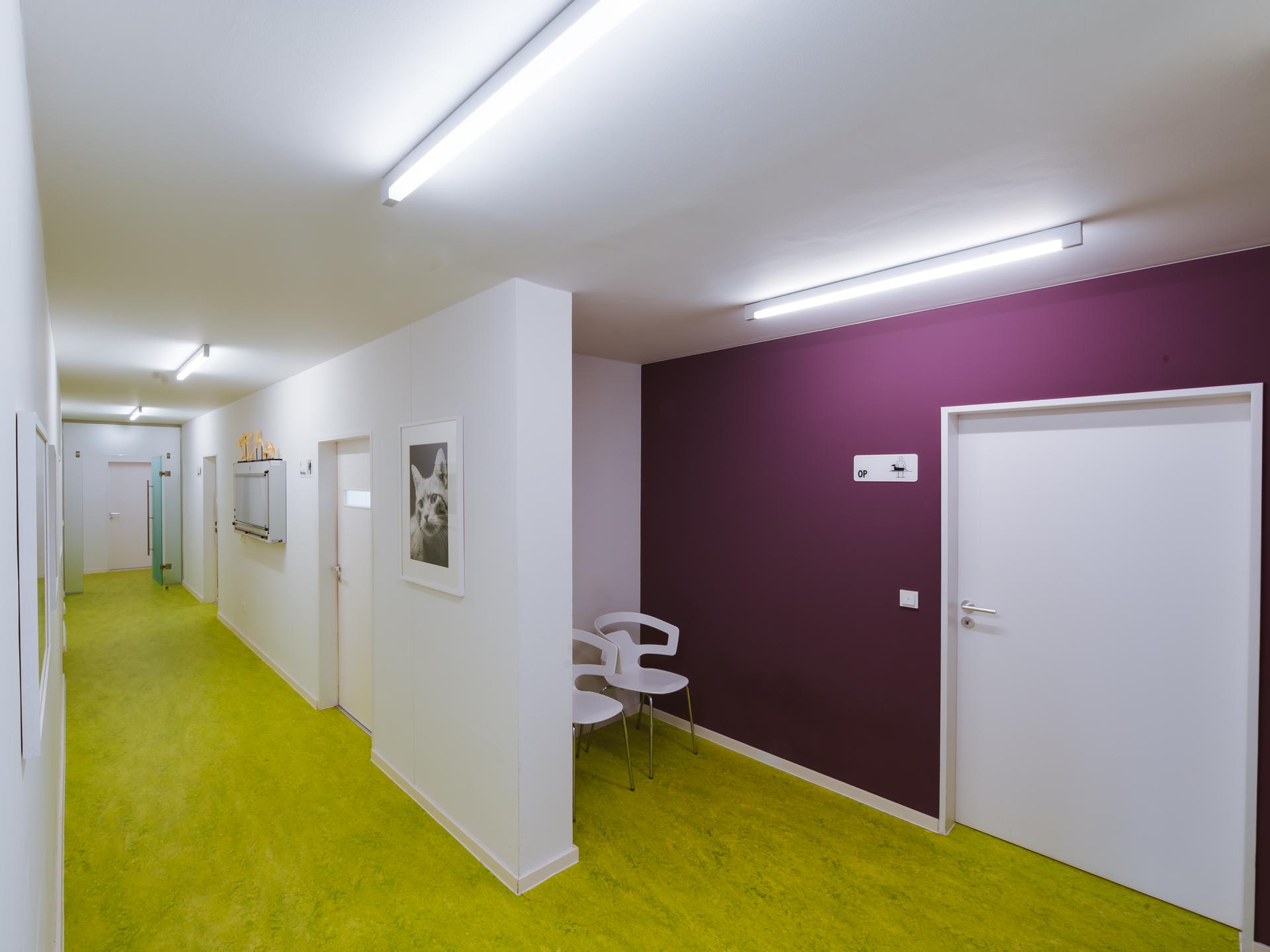 Ansicht 3 von Tierärzte IVC Evidensia GmbH Tierärztezentrum Landshut