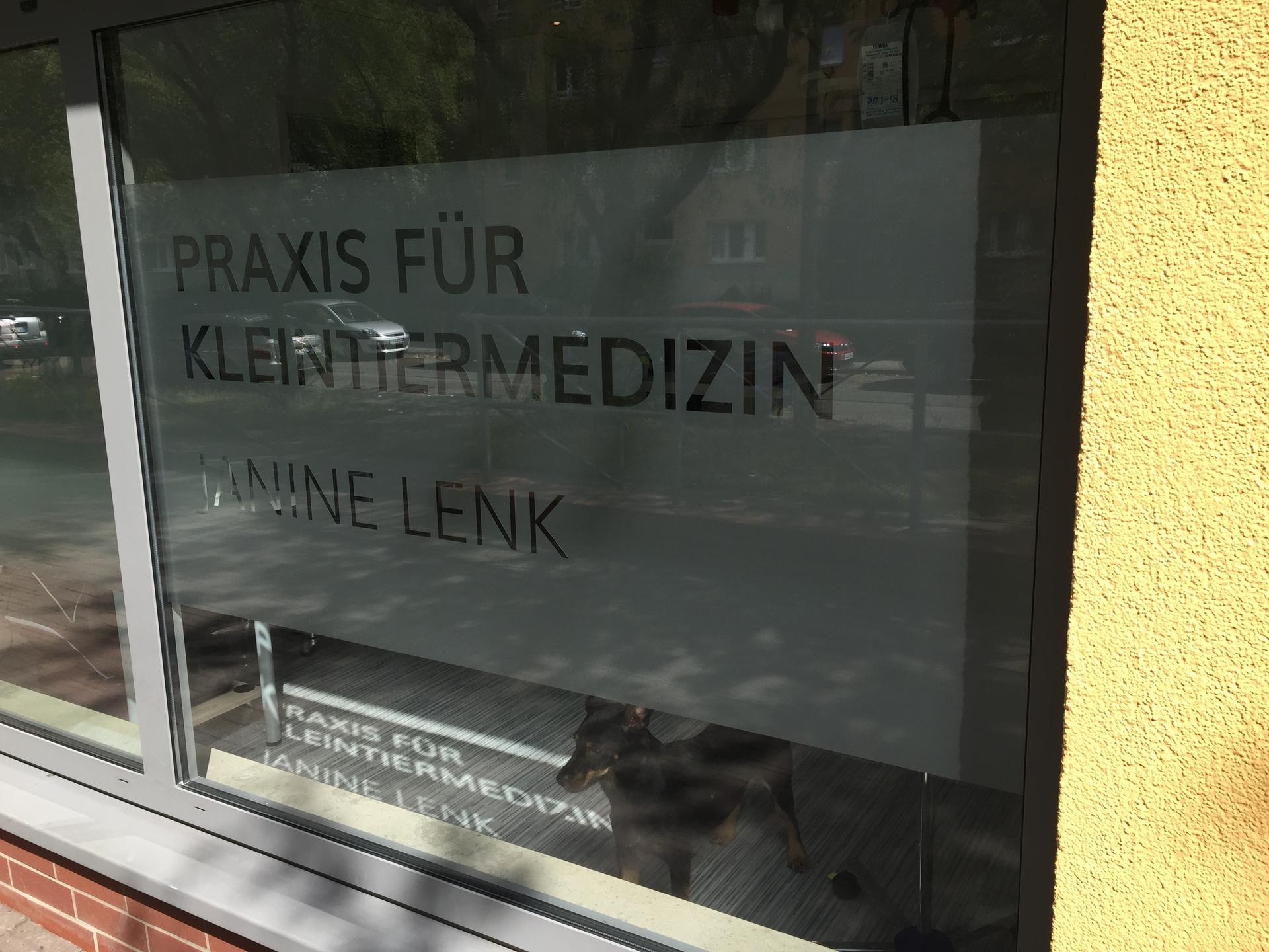 Ansicht 4 von Praxis für Kleintiermedizin Janine Lenk