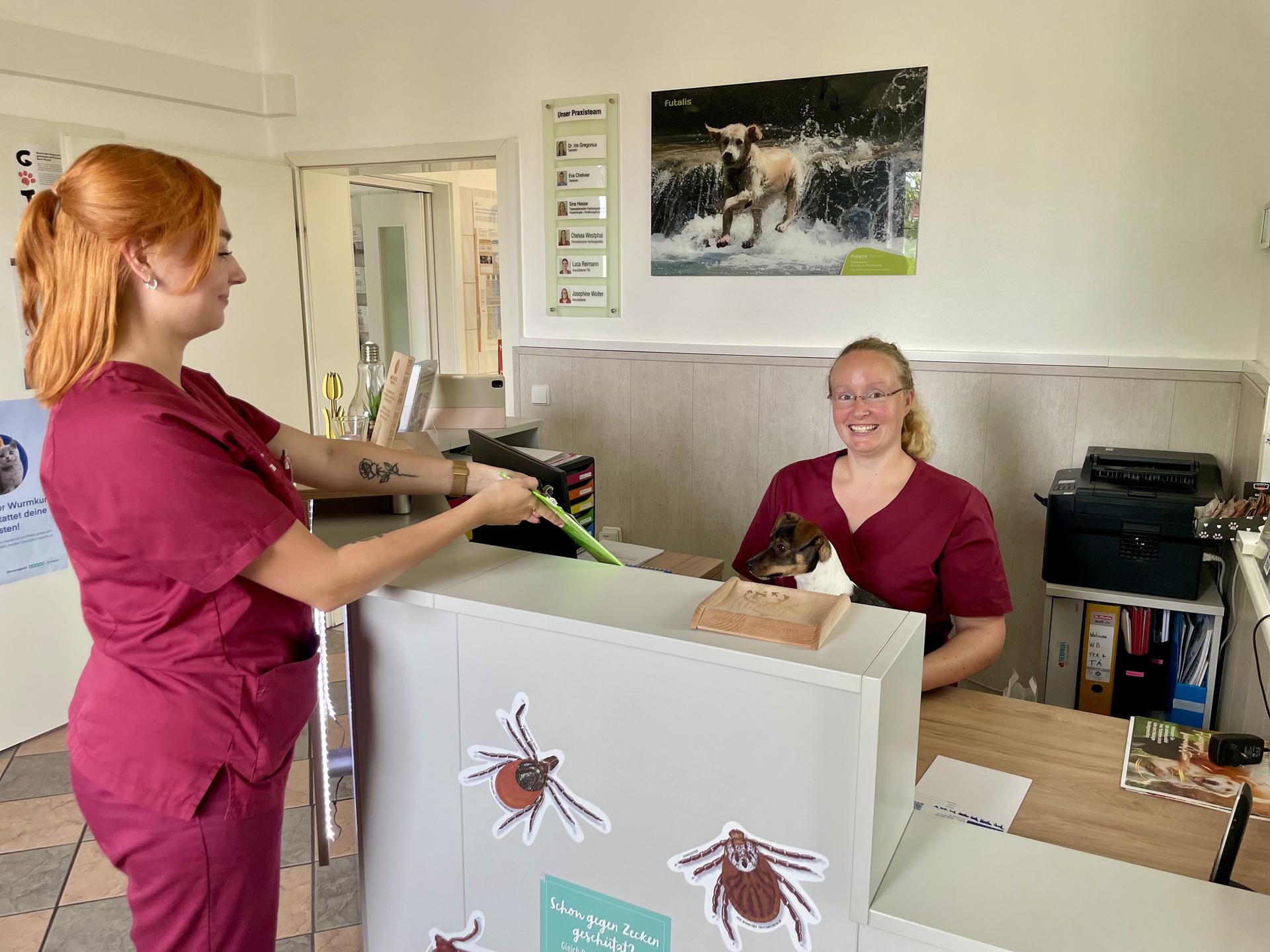 Ansicht 2 von Dr.med.vet. Iris Gregorius Tierärztin