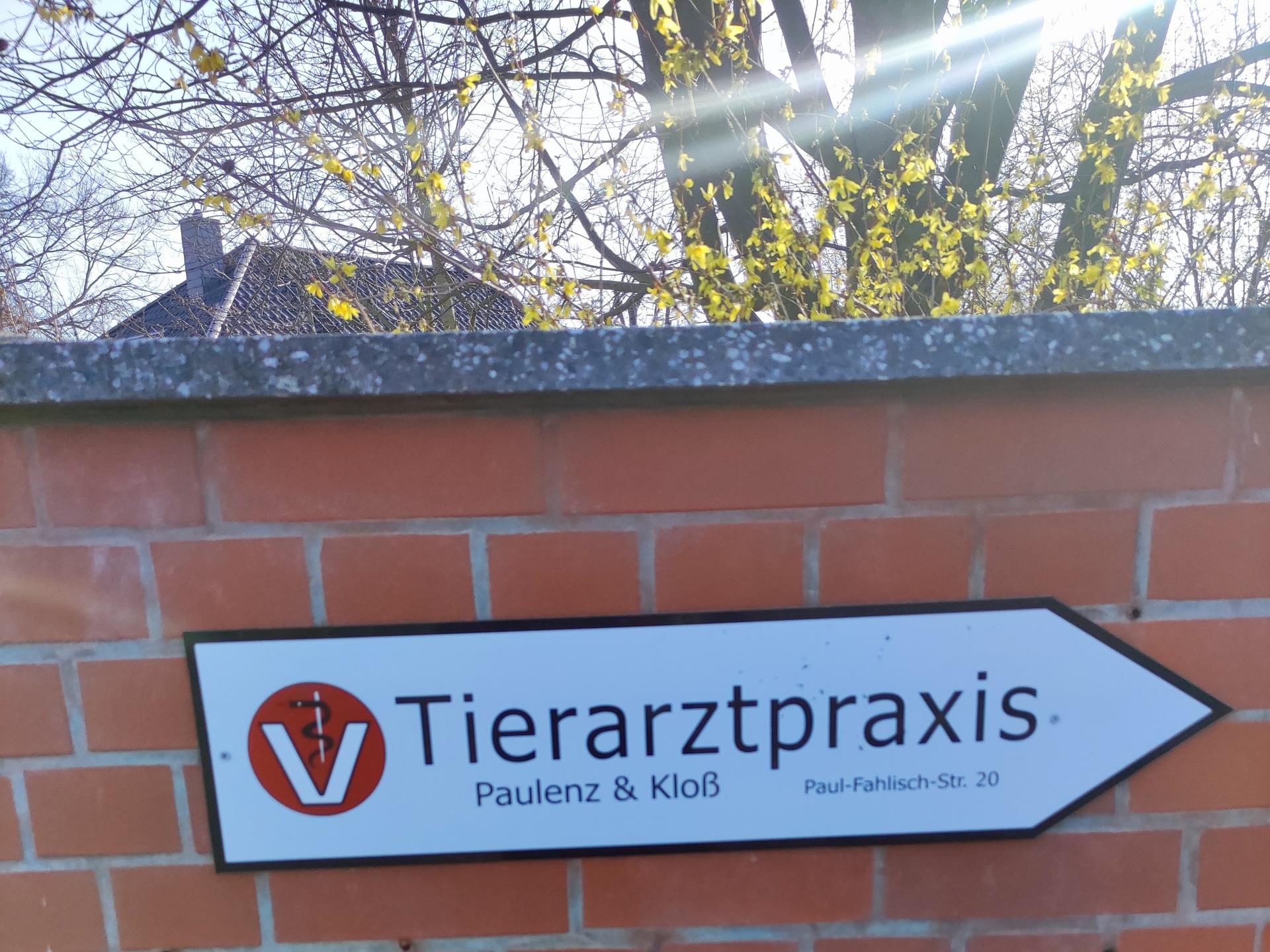 View 2 of Tierarztpraxis Paulenz / Kloß
