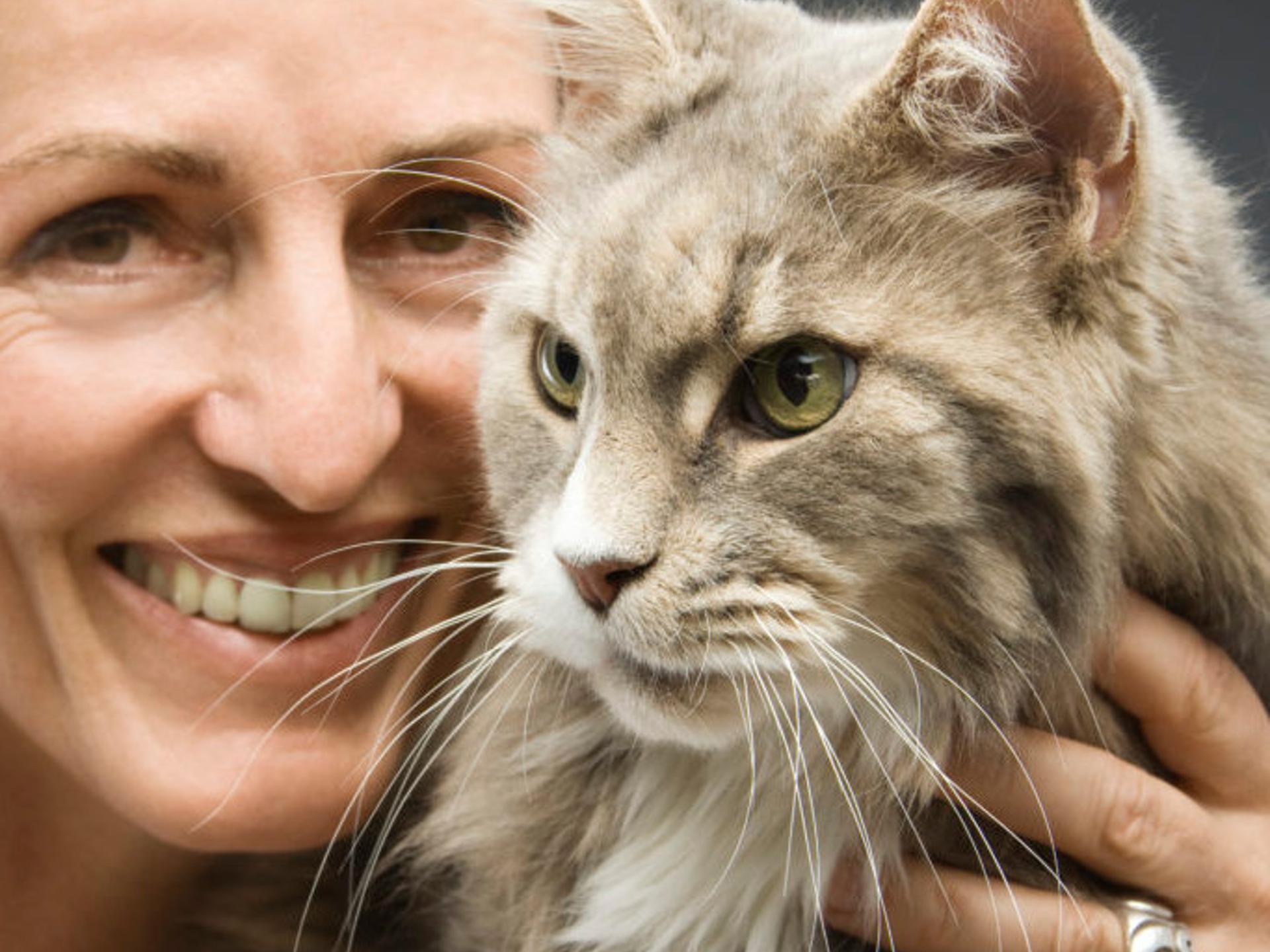 Ansicht 2 von Fennewald Ines Dr.med.vet. Kleintierpraxis