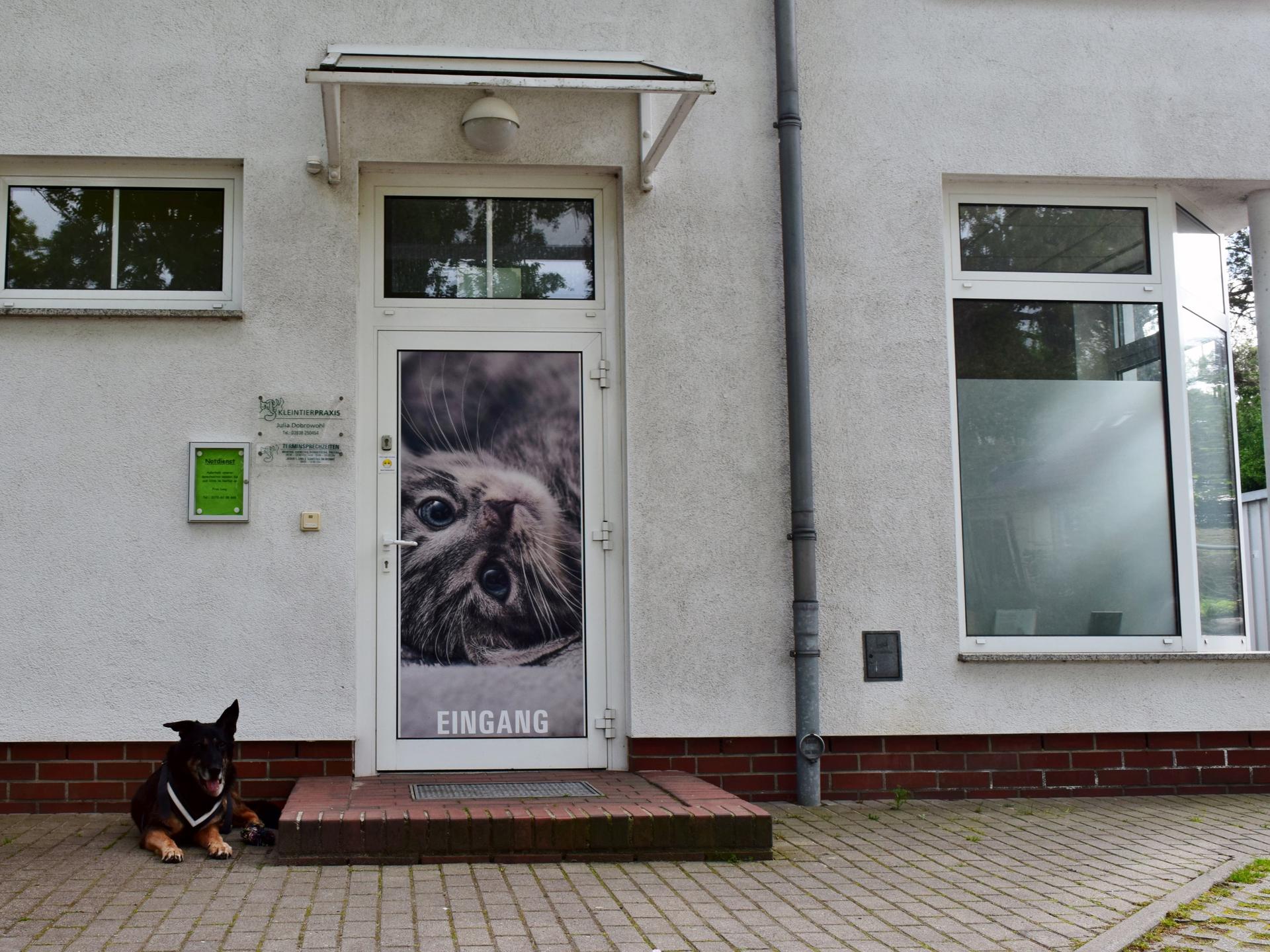 Ansicht 5 von Tierarztpraxis Julia Dobrowohl