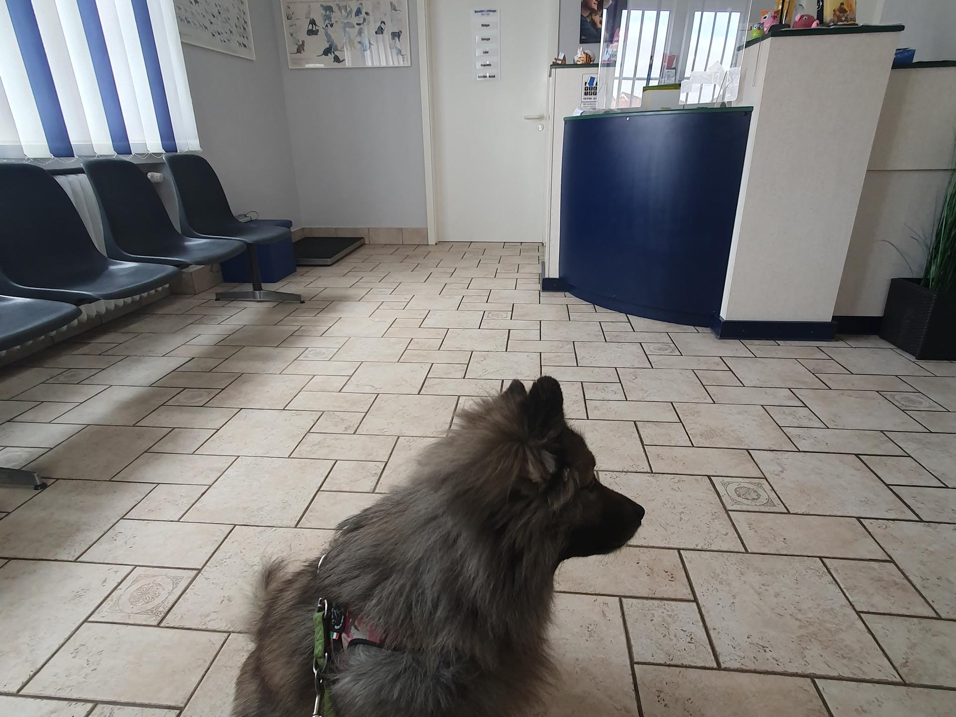 Ansicht 2 von Dr. med.vet. Birgit Steinbrenner