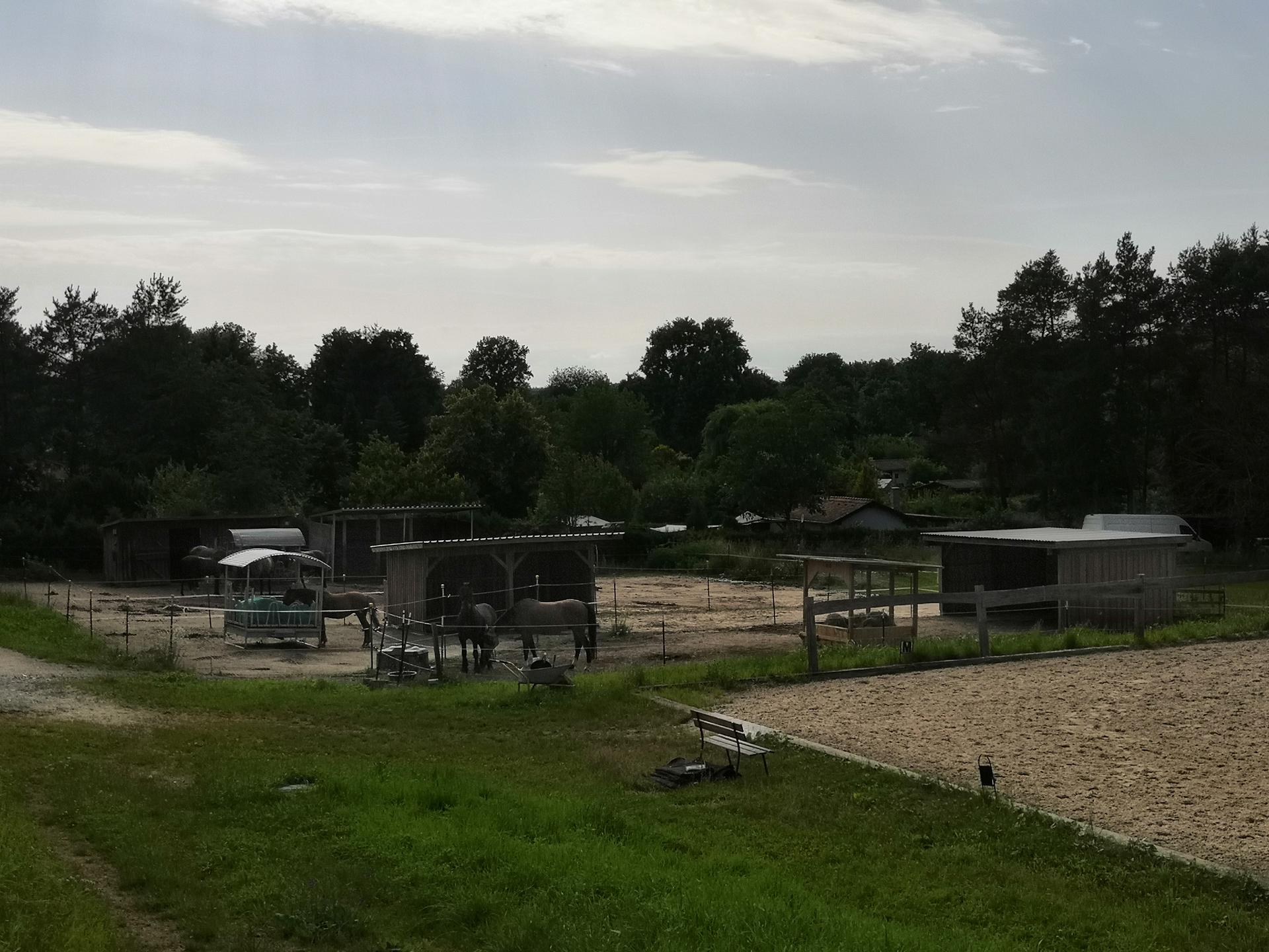 Ansicht 2 von AniCura Tierärztliches Fachzentrum Bamberg