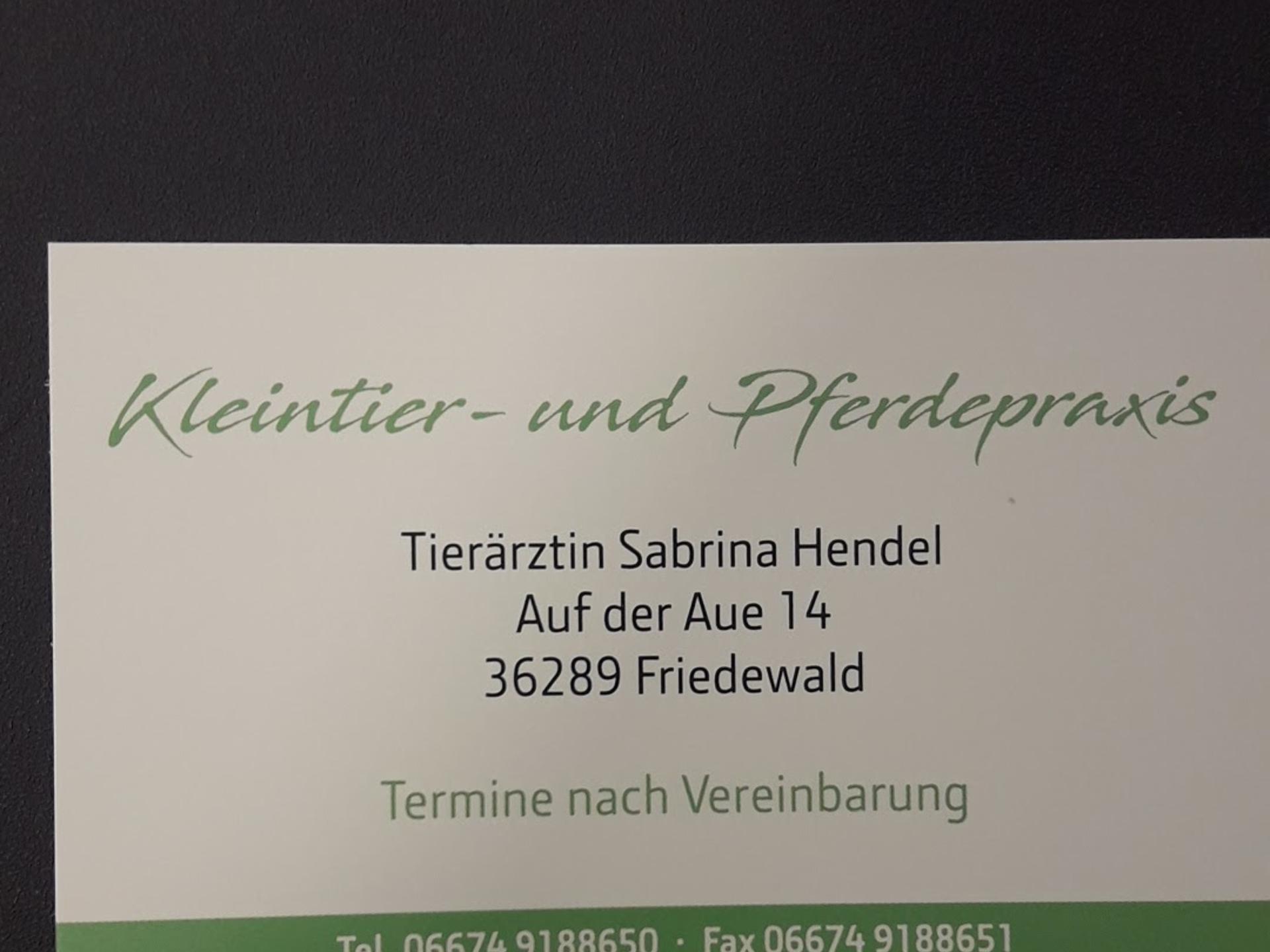 Ansicht 2 von Tierärztin Sabrina Hendel