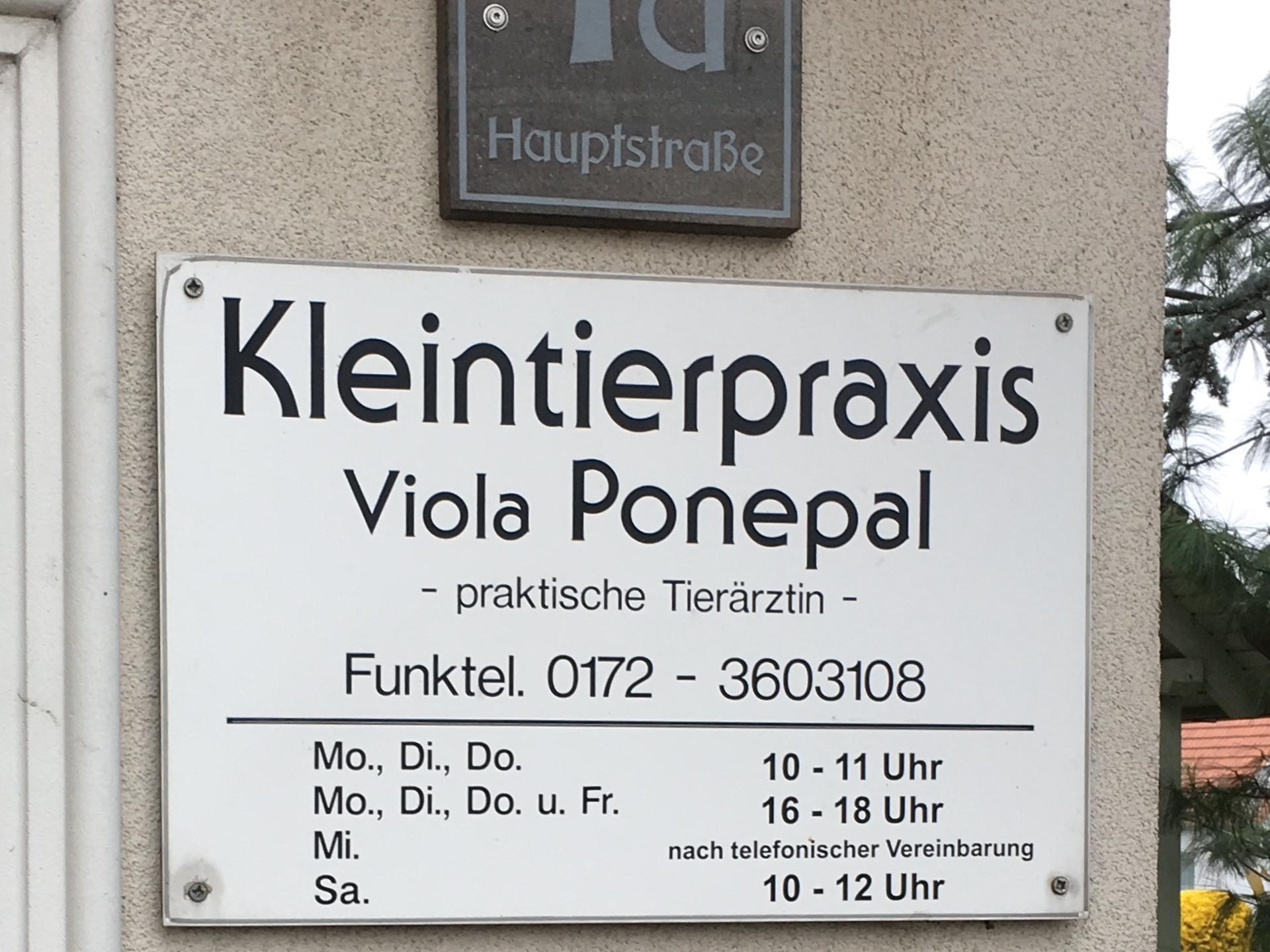 Ansicht 5 von Kleintierpraxis Ponepal