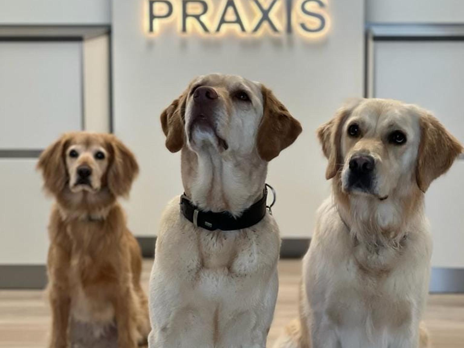 Ansicht 1 von VETPraxis für Kleintiere GmbH