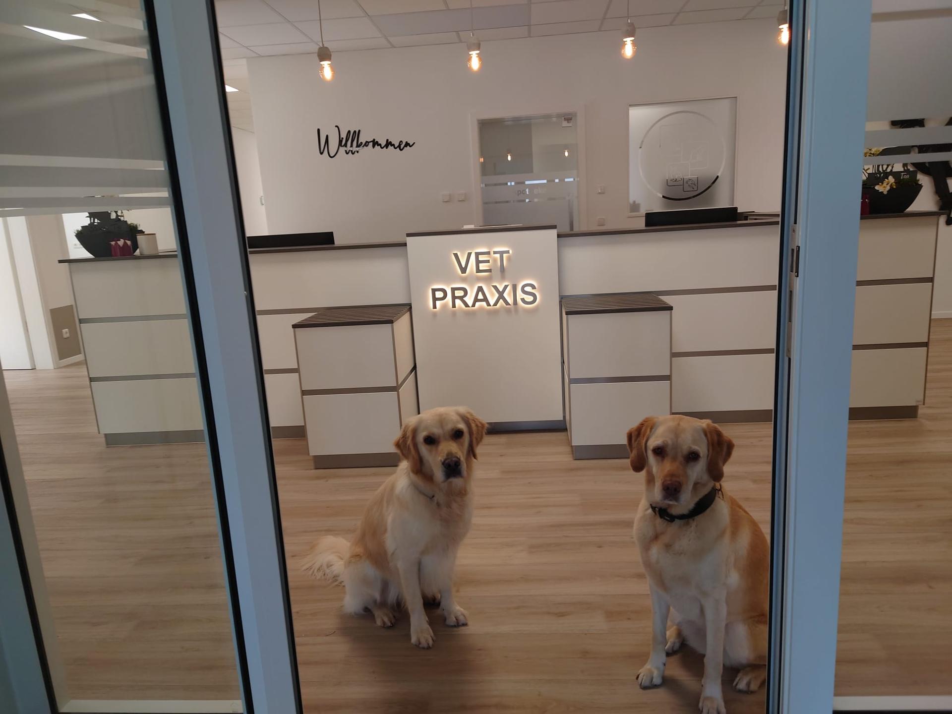 Ansicht 2 von VETPraxis für Kleintiere GmbH
