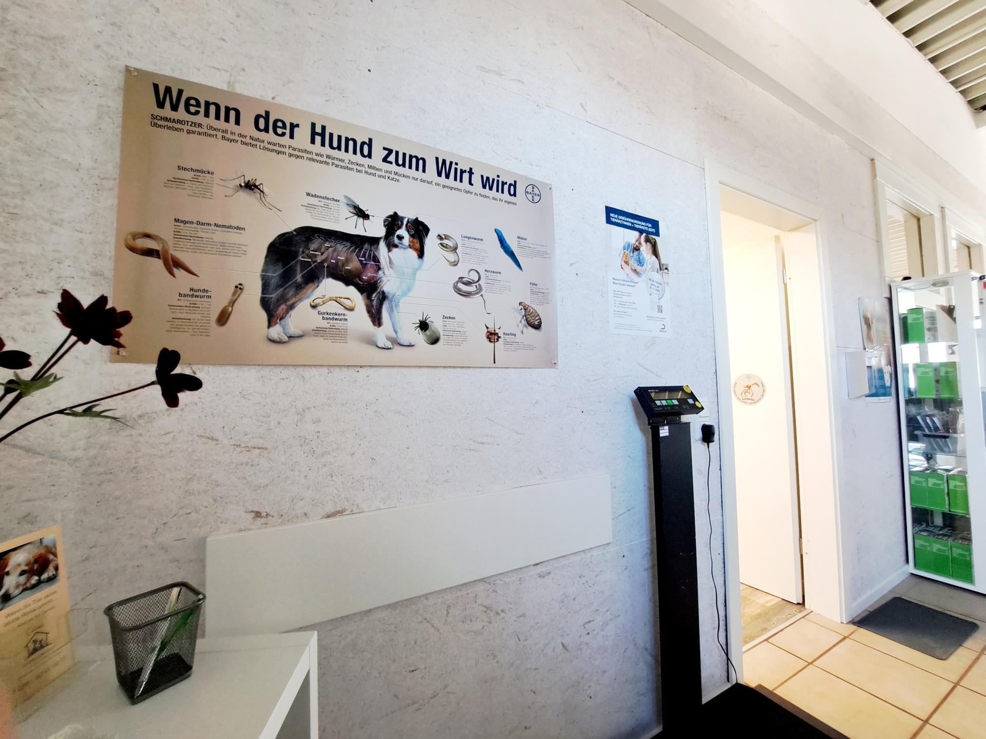Ansicht 3 von RUMI-Vet, Tierärztliche Praxis, Dr. M. Thumes, Dr. G. Gau, J. Thumes