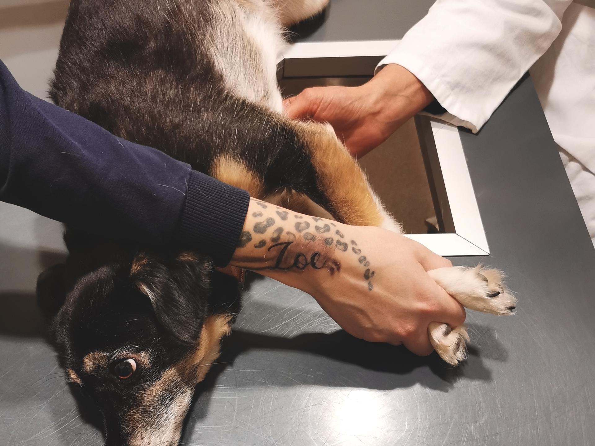Ansicht 2 von Tierklinik im Tierzentrum