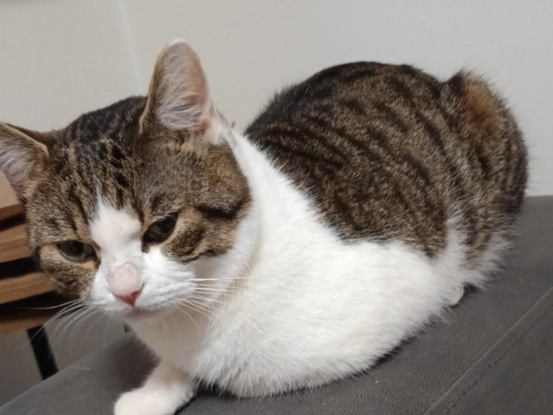 Ansicht 5 von Tierklinik im Tierzentrum