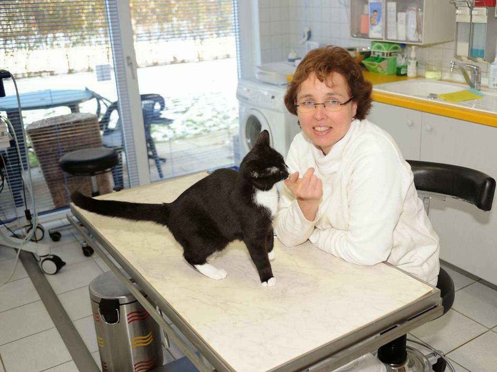 Ansicht 2 von Tierarztpraxis Dr. Anja Zogall