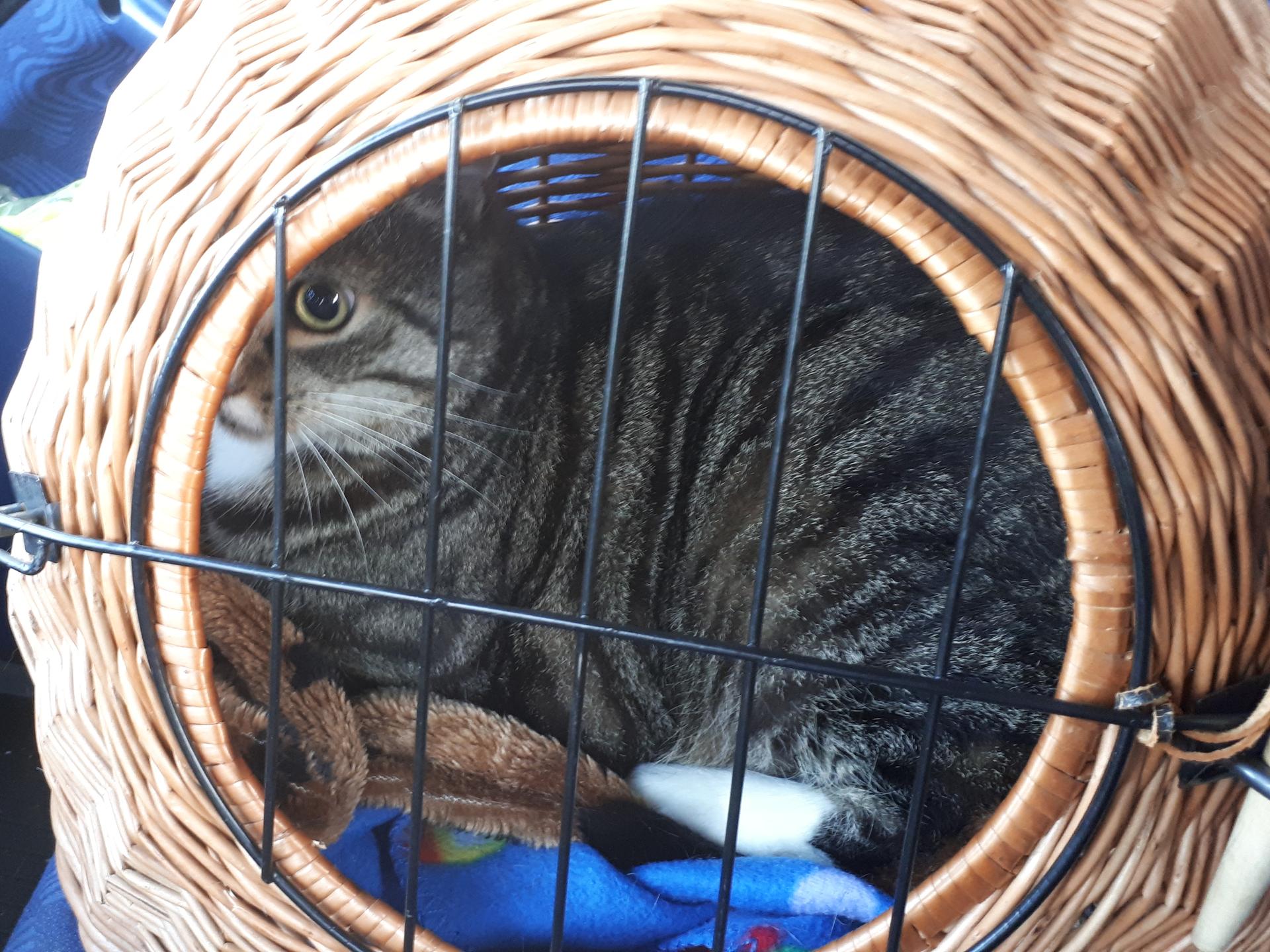 Ansicht 3 von Tierärztliche Praxis für Kleintiere Dr. Alexandra Plitt