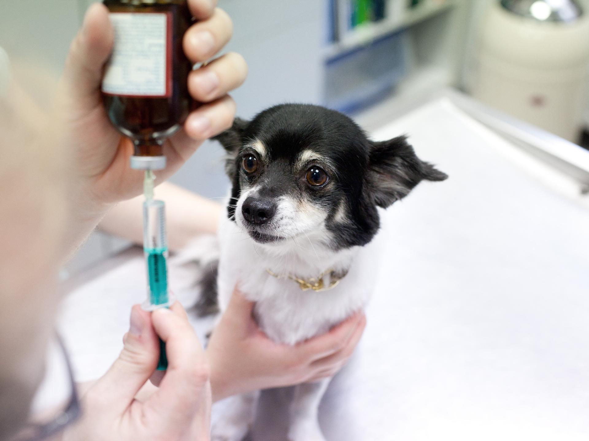 Ansicht 2 von Tierarzt Dr. Christoph Szober