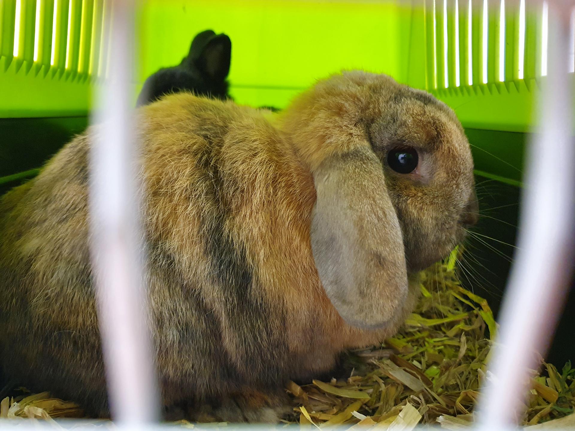Ansicht 2 von Kleintierpraxis Sudweyher Heide