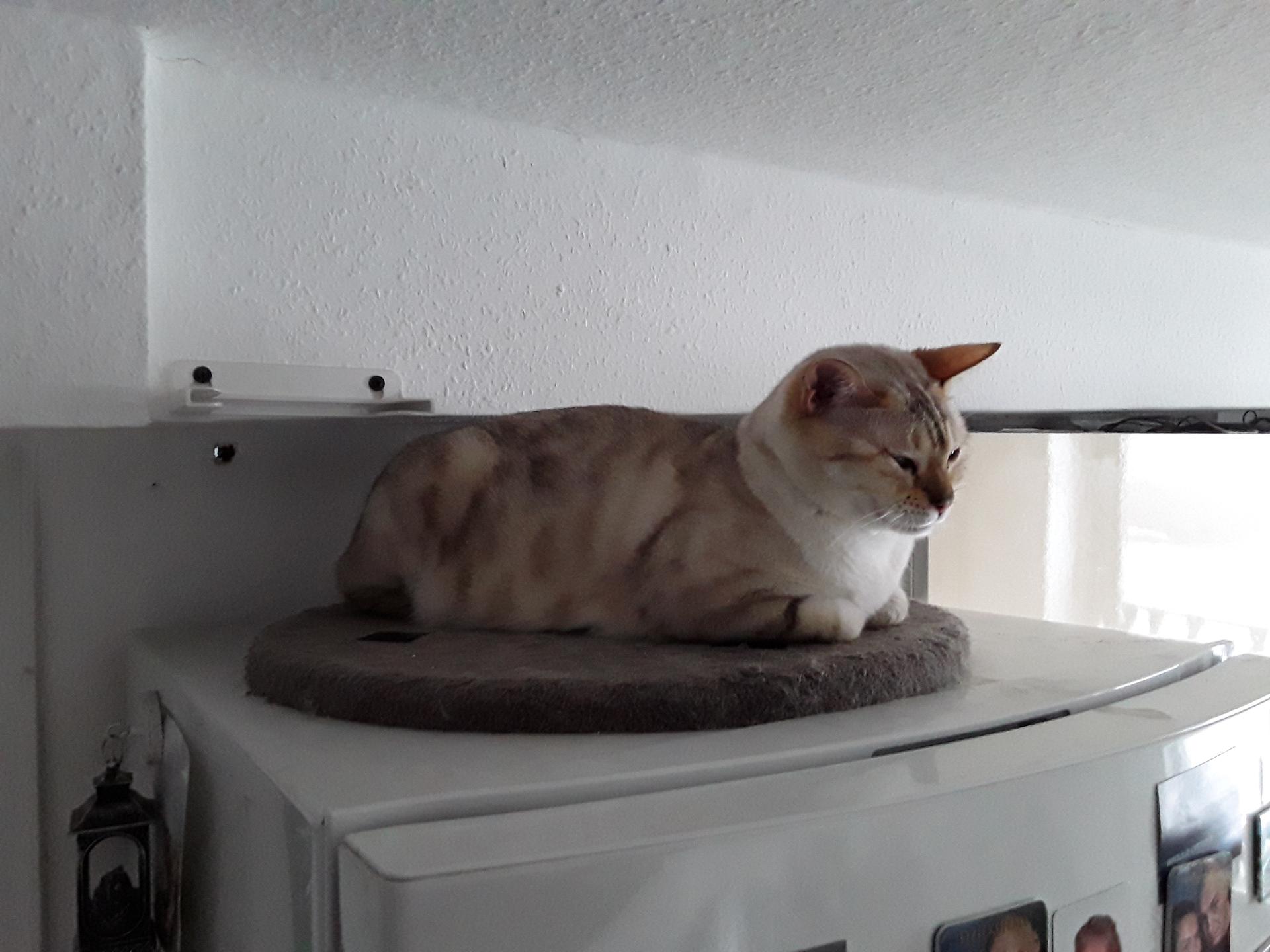 View 2 of Dr.med.vet. Dieter Grün Tierarzt