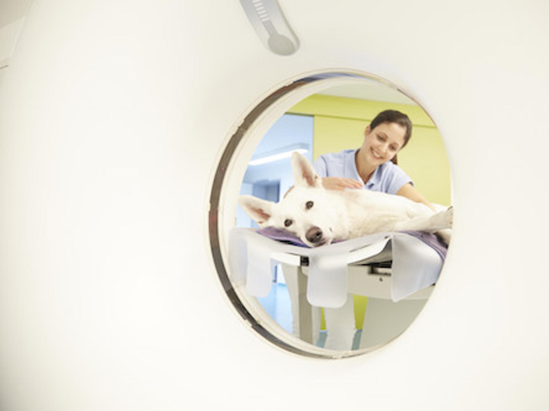 Ansicht 1 von Tierklinik Kellerwessel in Köln - Tierärztliche Klinik mit 24h Notdienst