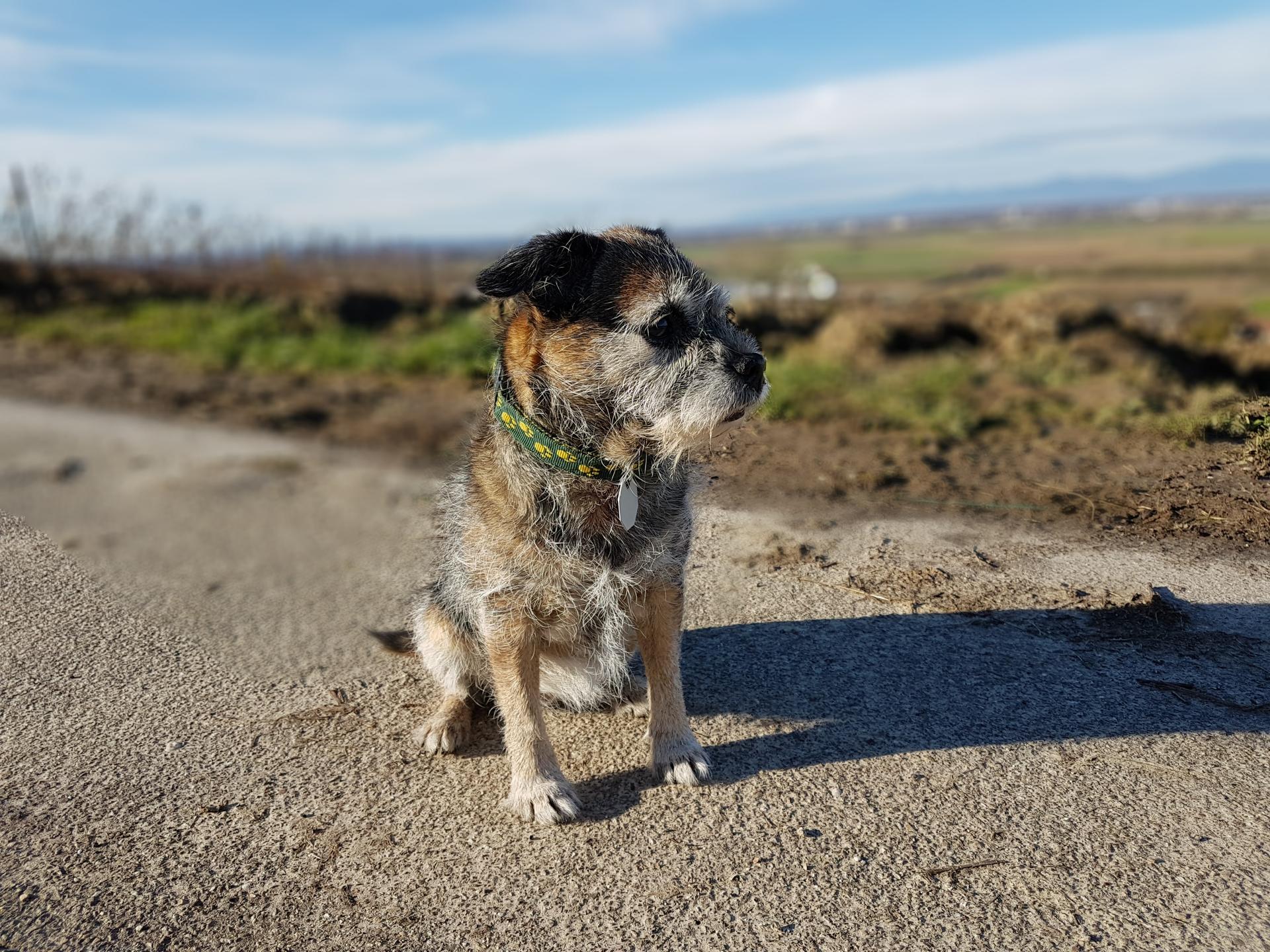 Ansicht 1 von AM SONNENSTÜCK Kleintierpraxis & Tierpension