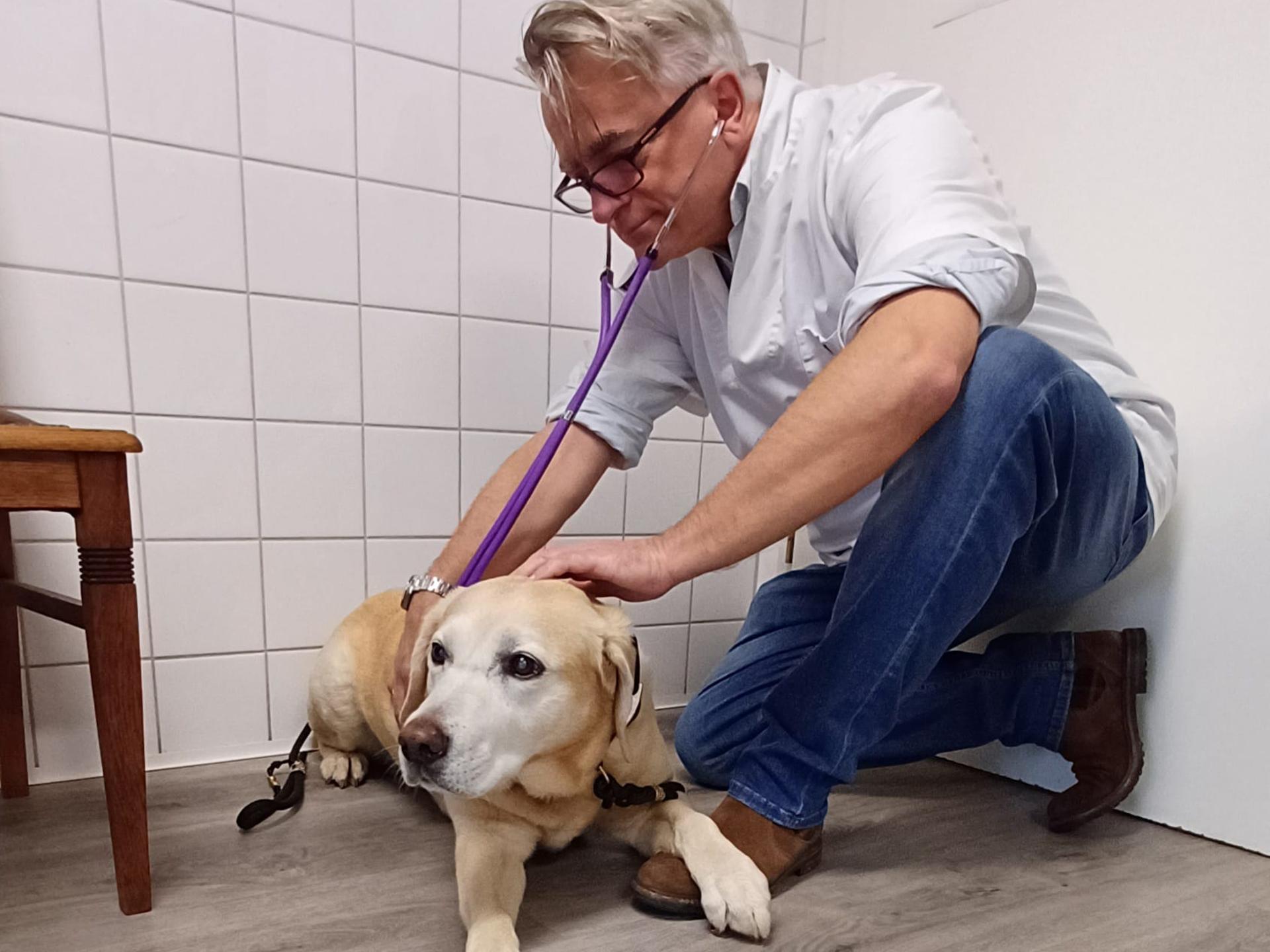 Ansicht 1 von Dr.med.vet. Klaus Eckert Tierarzt