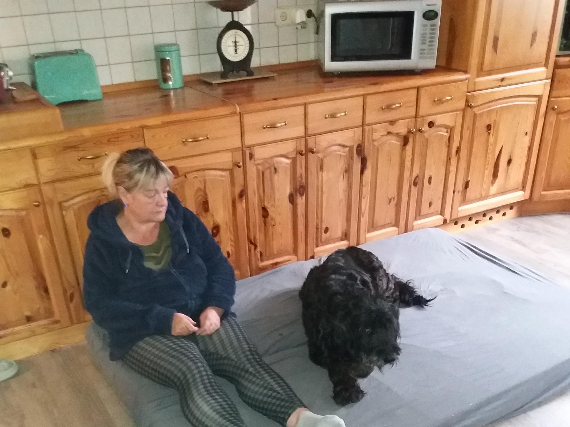 Ansicht 3 von Tierarztpraxis Oderbruch Inh Dr. Anne Kalies