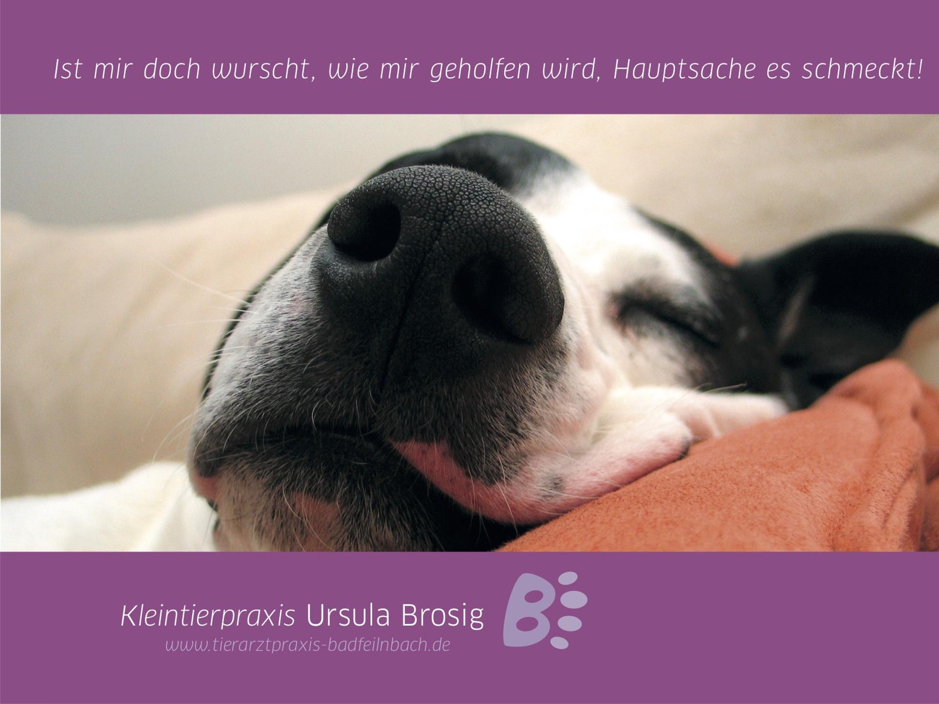 Ansicht 5 von Tierarztpraxis Ursula Brosig