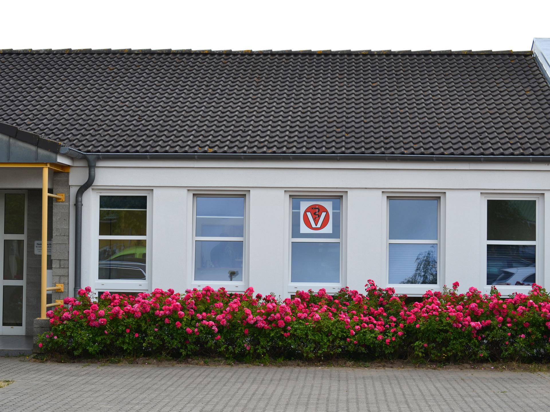 Ansicht 1 von Dr. med. vet Martin Hammer