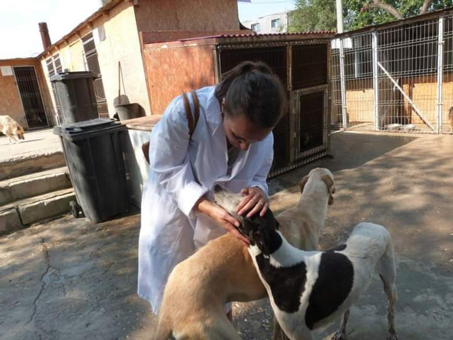 View 2 of Tierarztpraxis für Verhaltenstherapie und -medizin Claudia Hilbert