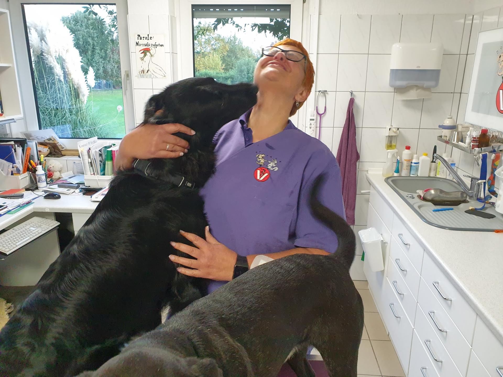 Ansicht 1 von Tierarztpraxis Brentgens