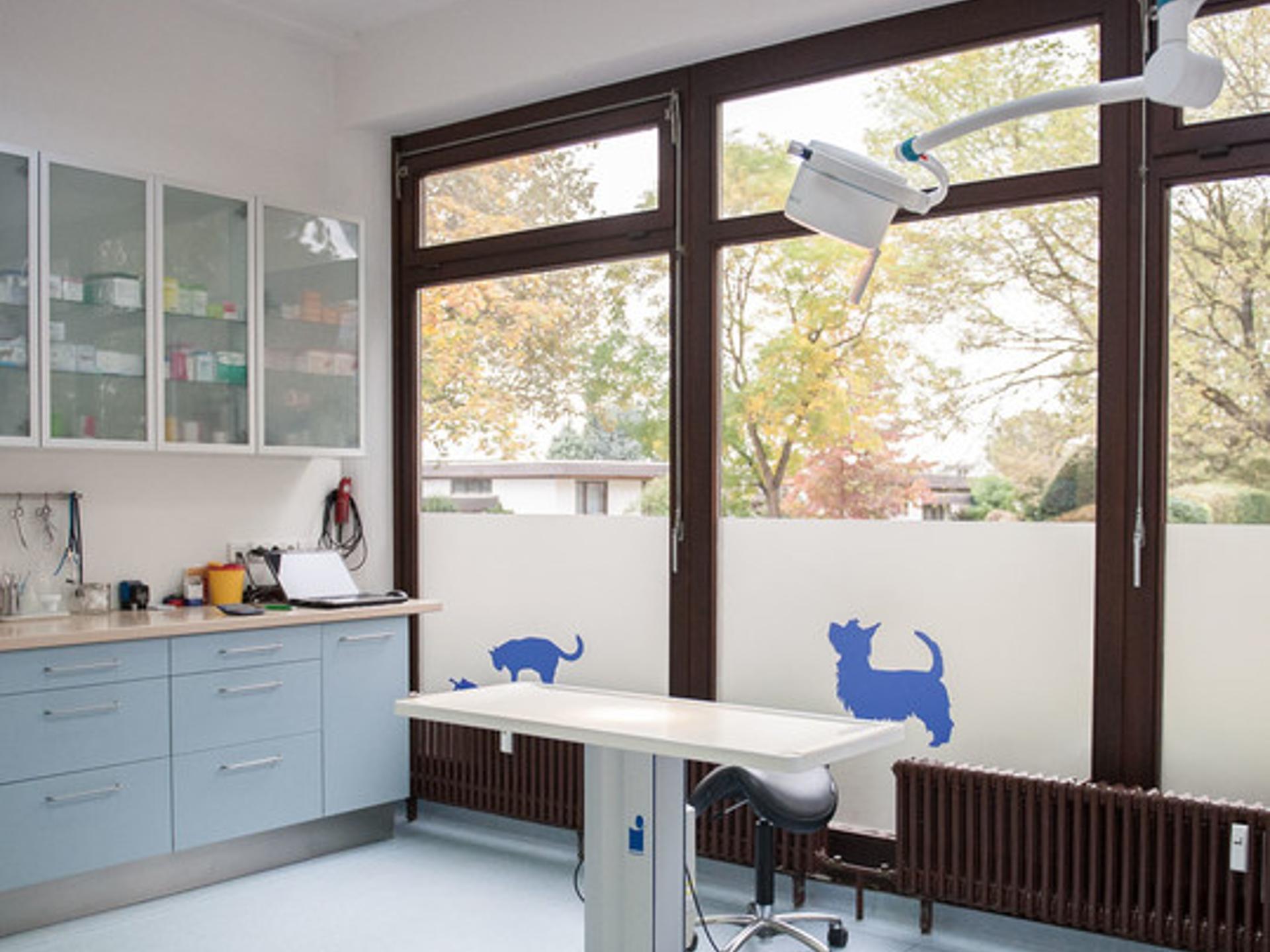 Ansicht 2 von Kleintierpraxis Im Falkenstein GmbH
