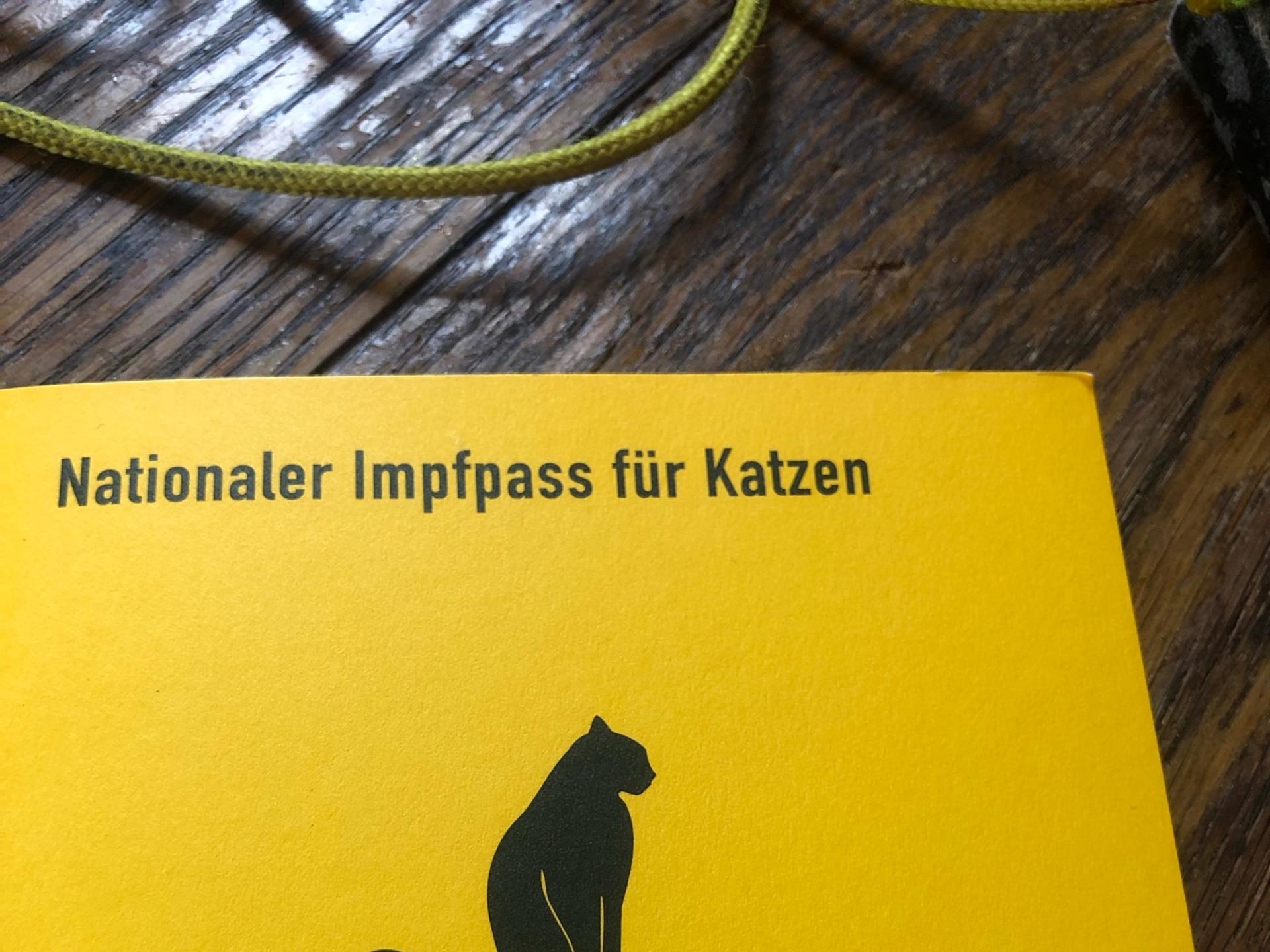 Ansicht 3 von José Luis Sanchez