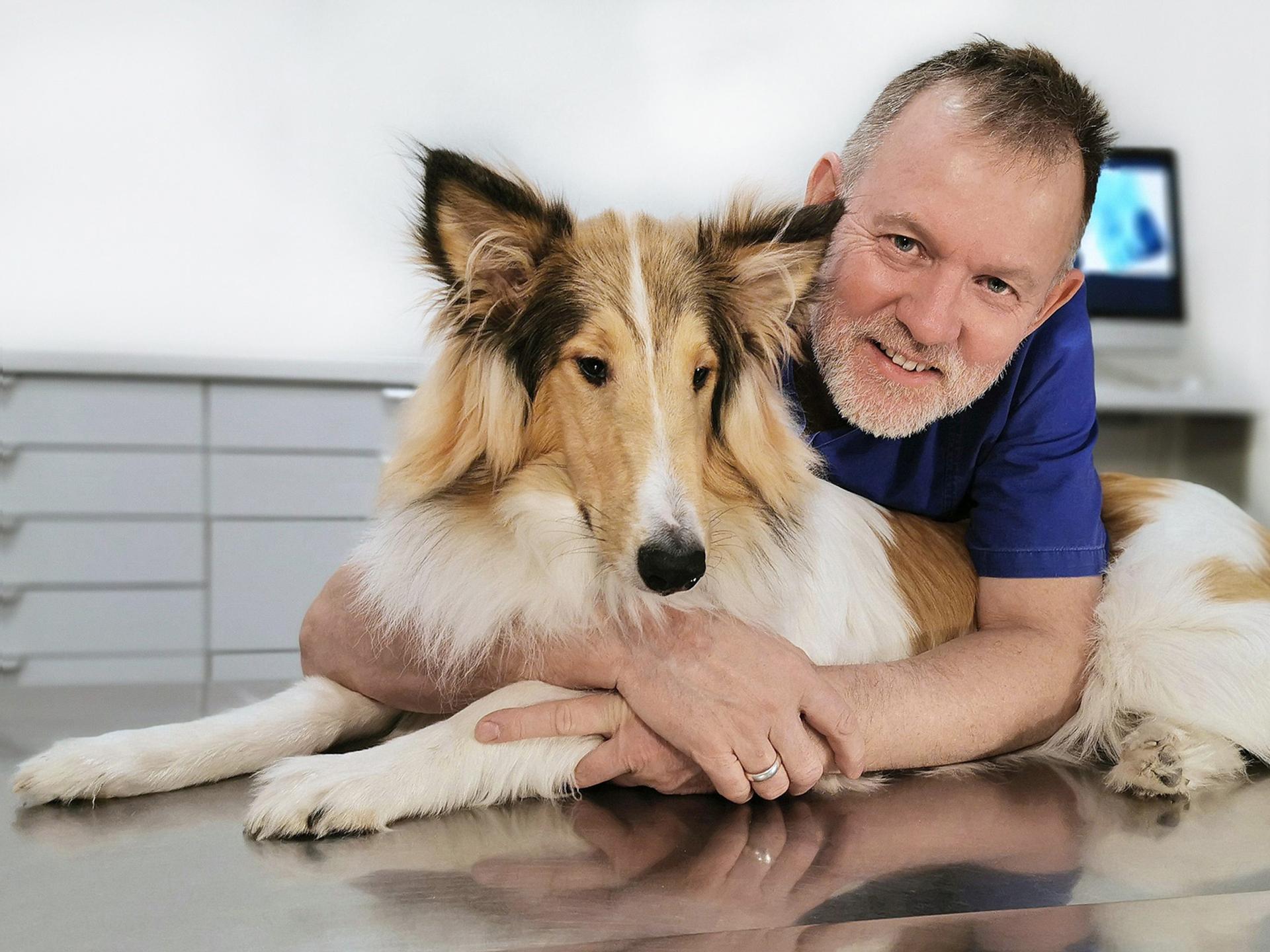 Ansicht 1 von Praxis für Tierzahnheilkunde / Dr. med. vet. Helmut Rux