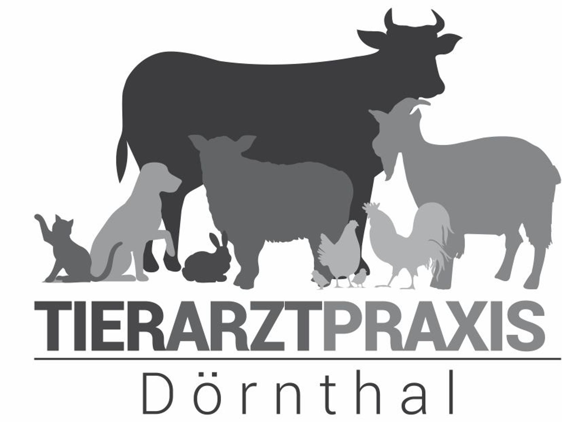 Ansicht 1 von Tierarztpraxis Dörnthal
