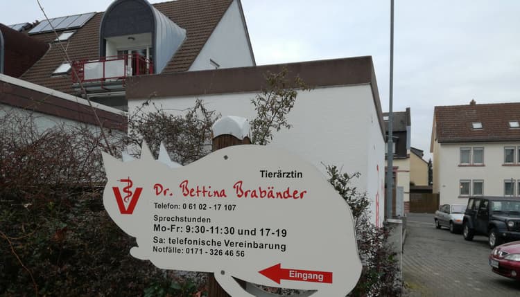 Vorschau von Dr. Bettina Brabänder
