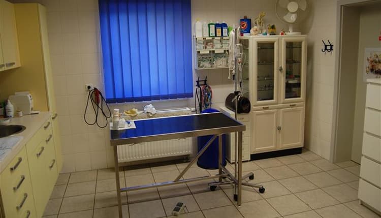 Vorschau von Tierärztliche Praxisgemeinschaft Chemnitz-Euba DVM Kerstin Haase & TÄ Ulrike Haase